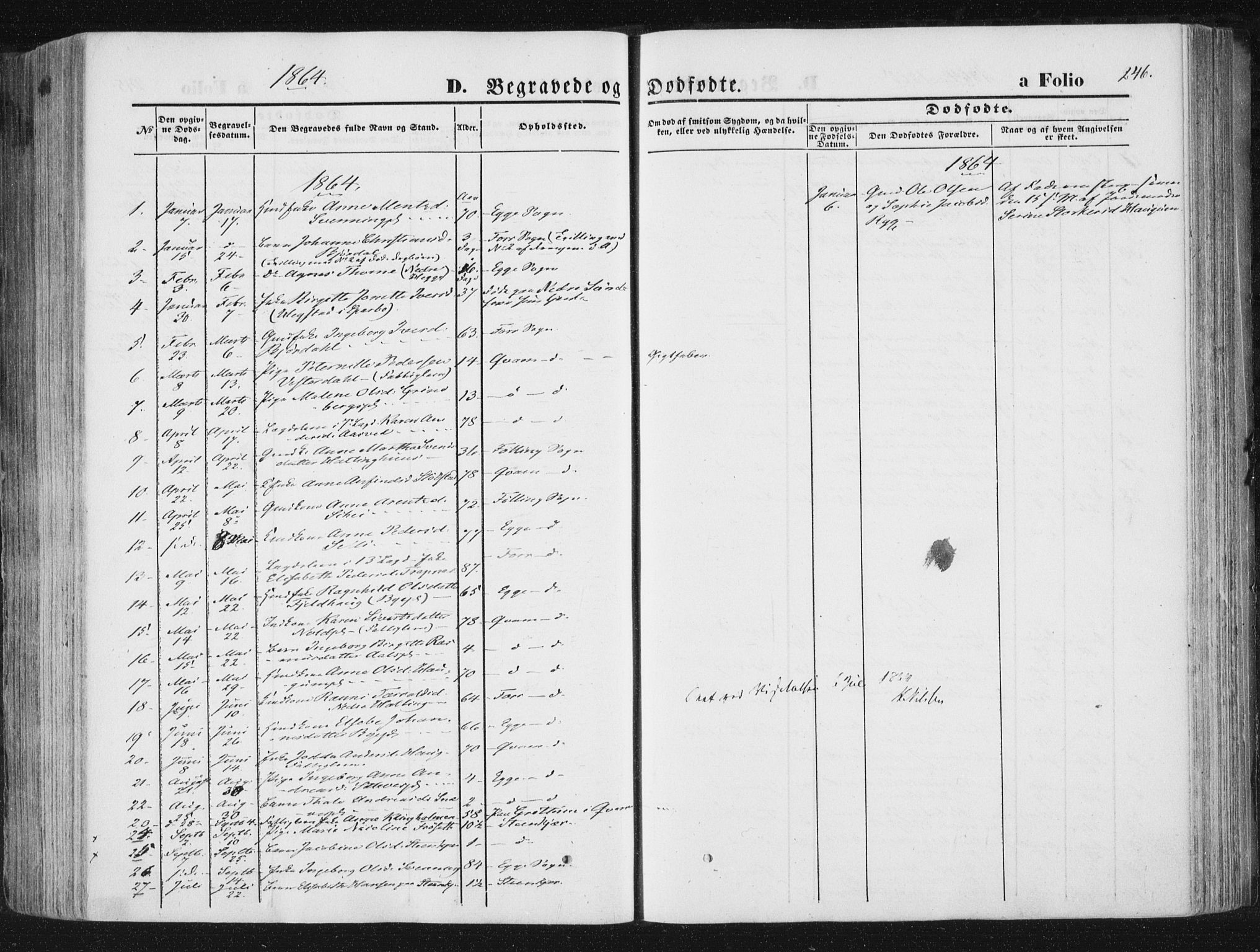 Ministerialprotokoller, klokkerbøker og fødselsregistre - Nord-Trøndelag, SAT/A-1458/746/L0447: Parish register (official) no. 746A06, 1860-1877, p. 246