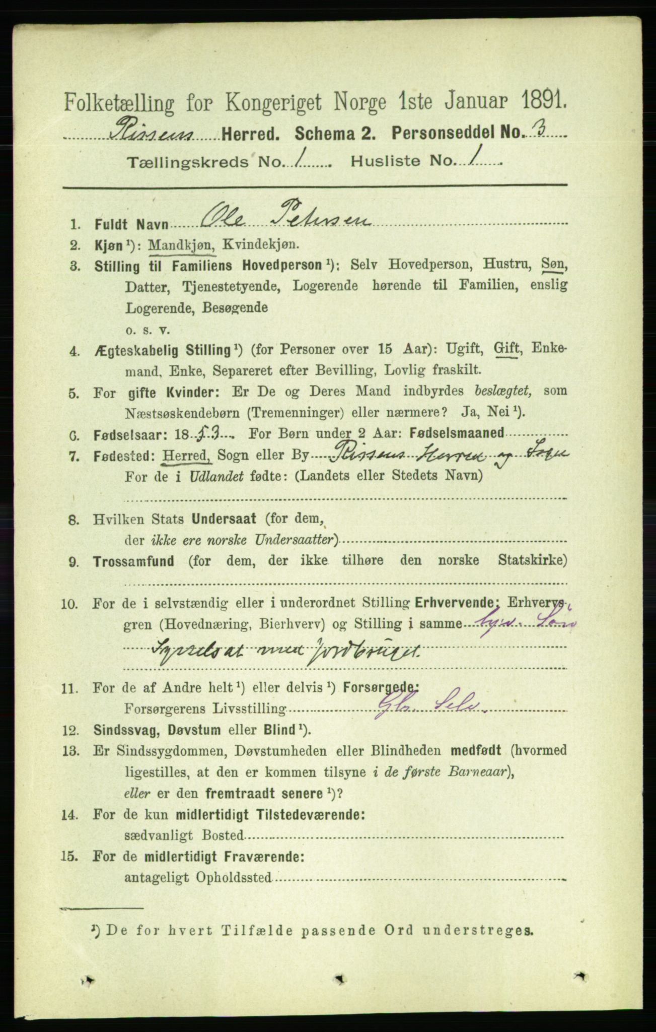 RA, 1891 census for 1624 Rissa, 1891, p. 160