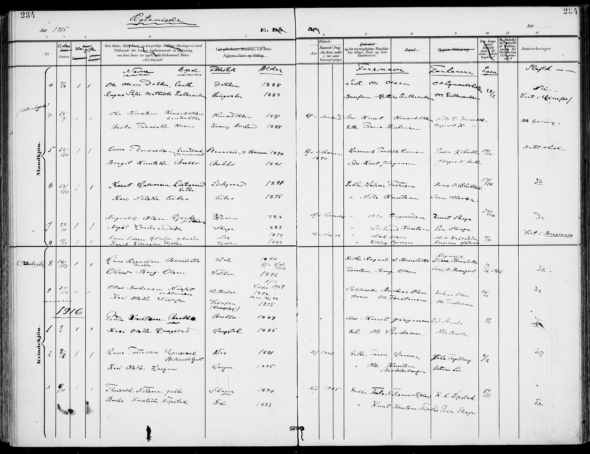Gol kirkebøker, SAKO/A-226/F/Fa/L0006: Parish register (official) no. I 6, 1901-1918, p. 234