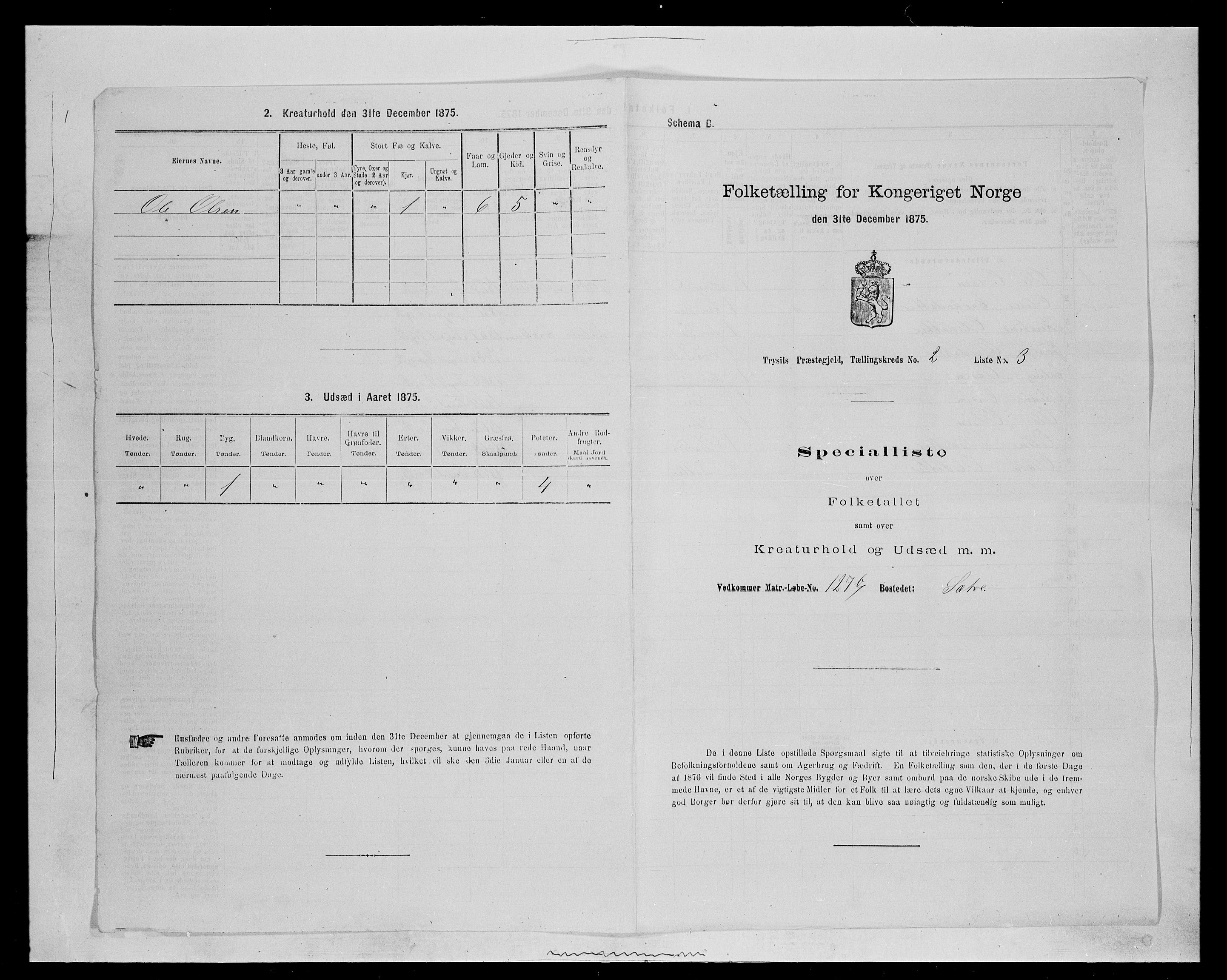 SAH, 1875 census for 0428P Trysil, 1875, p. 264