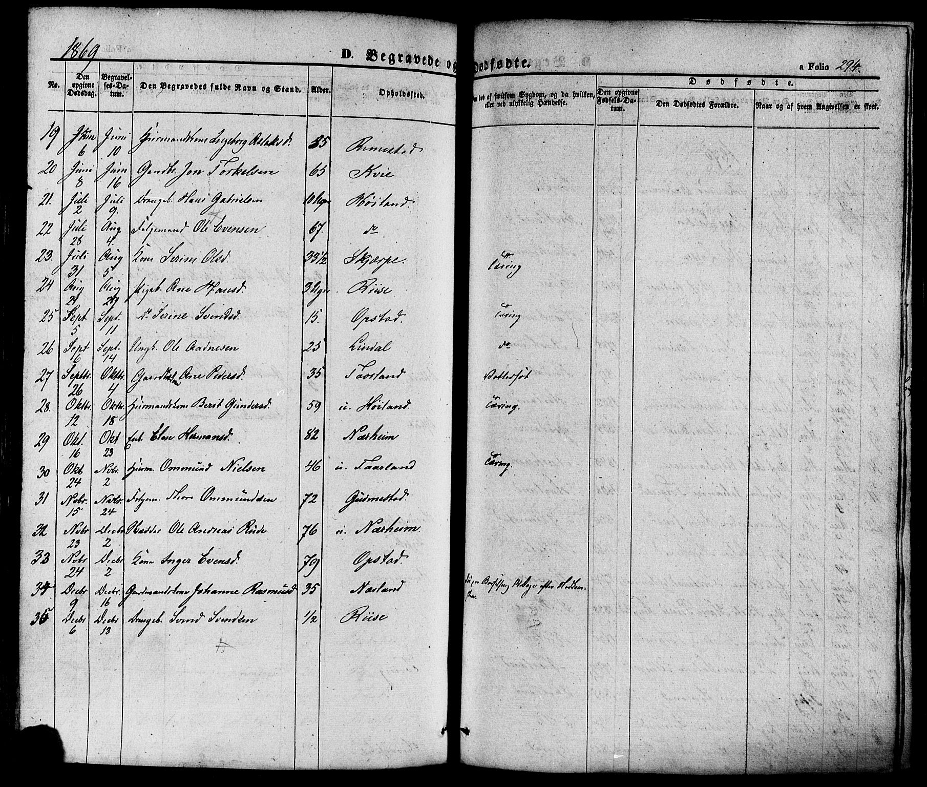 Hå sokneprestkontor, AV/SAST-A-101801/001/30BA/L0008: Parish register (official) no. A 7, 1853-1878, p. 294