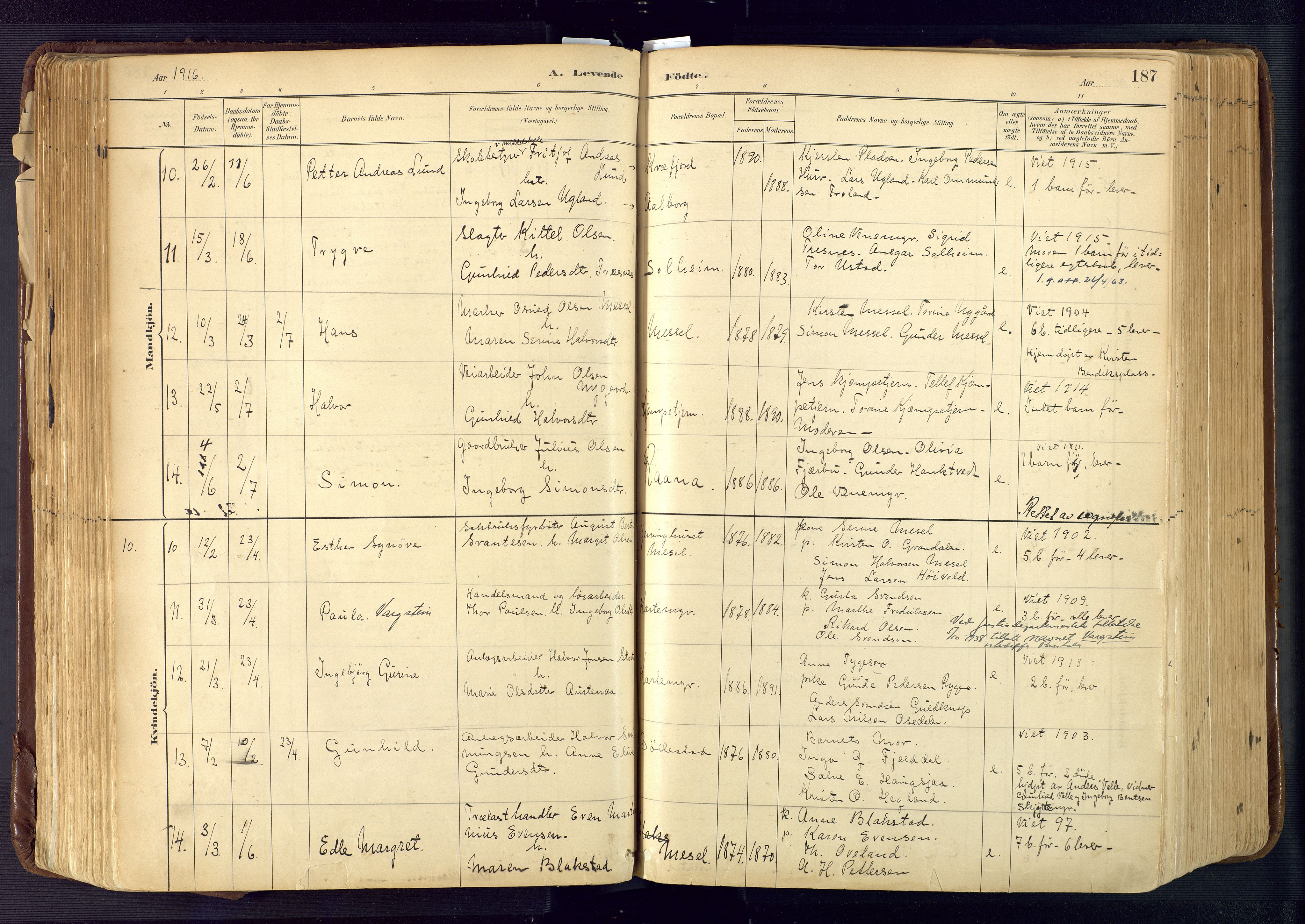 Froland sokneprestkontor, AV/SAK-1111-0013/F/Fa/L0005: Parish register (official) no. A 5, 1882-1921, p. 187