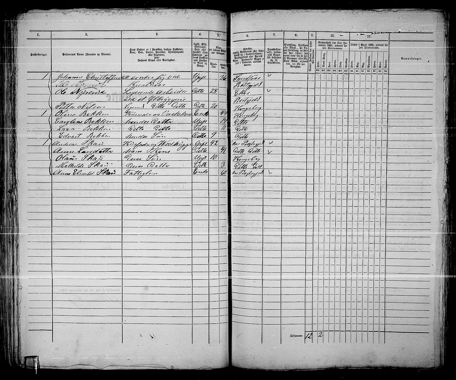 RA, 1865 census for Kongsberg/Kongsberg, 1865, p. 133