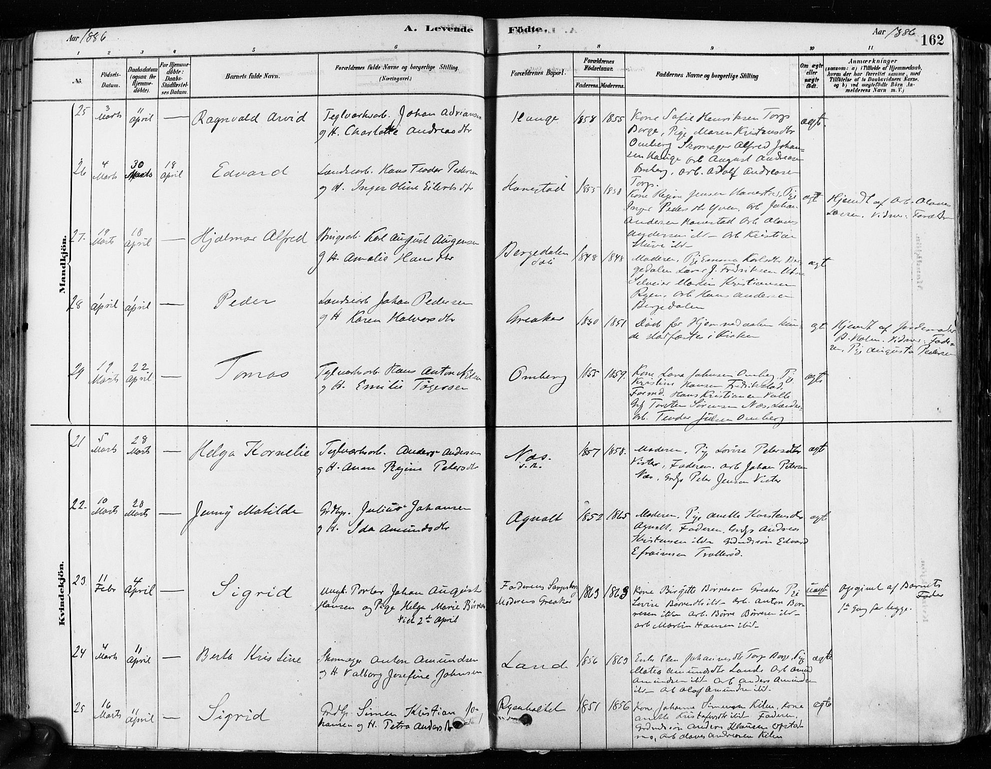 Tune prestekontor Kirkebøker, SAO/A-2007/F/Fa/L0017: Parish register (official) no. 17, 1878-1887, p. 162
