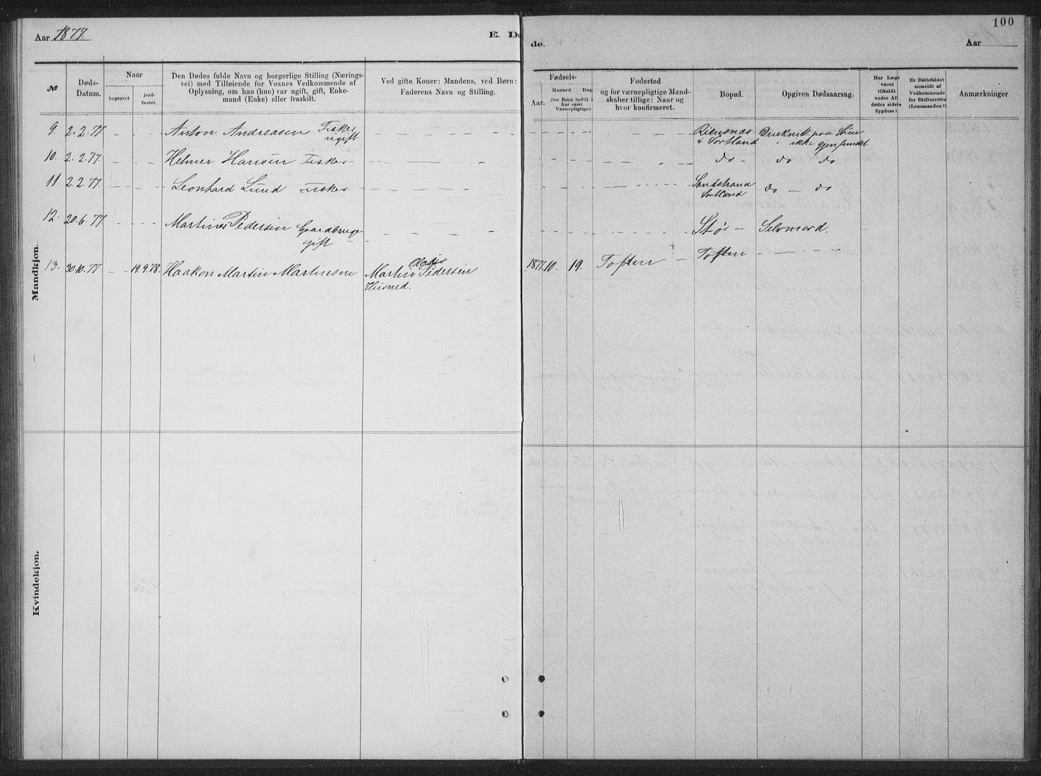 Ministerialprotokoller, klokkerbøker og fødselsregistre - Nordland, AV/SAT-A-1459/894/L1359: Parish register (copy) no. 894C02, 1877-1884, p. 100