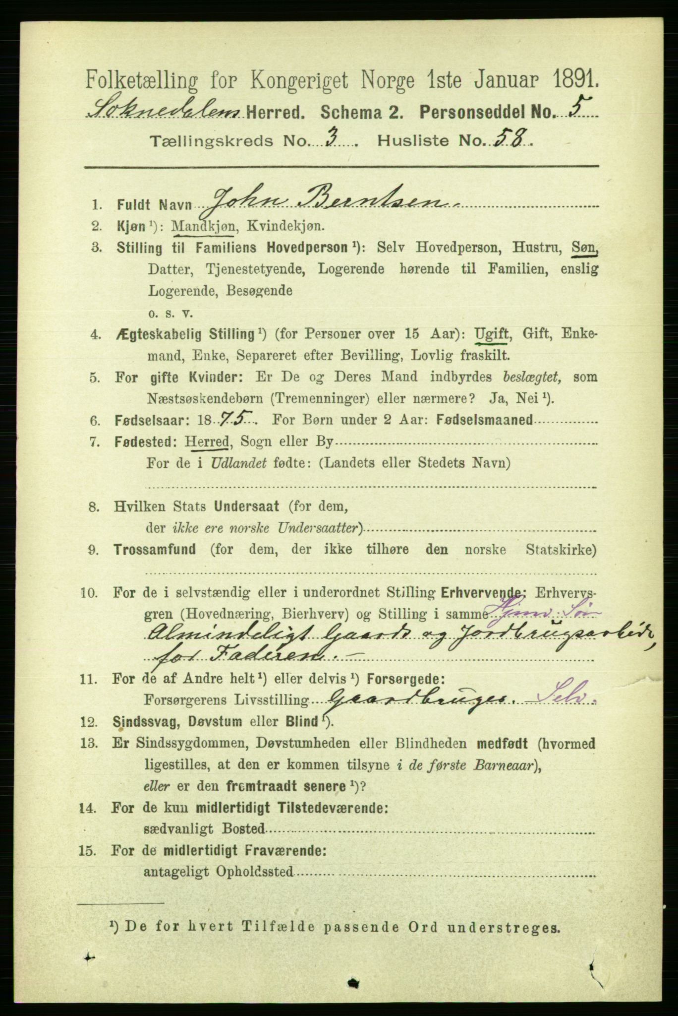 RA, 1891 census for 1649 Soknedal, 1891, p. 1520