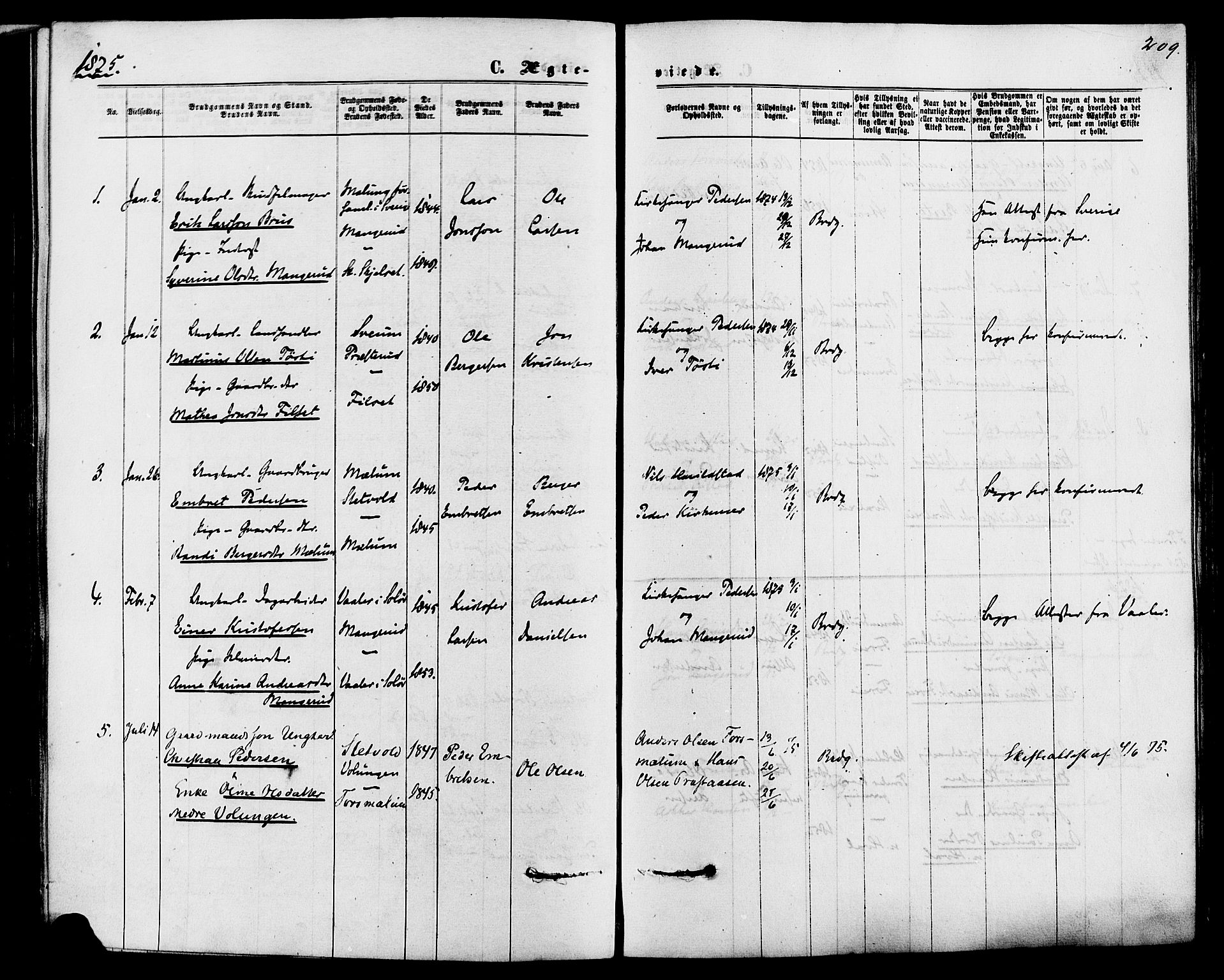 Romedal prestekontor, SAH/PREST-004/K/L0006: Parish register (official) no. 6, 1866-1886, p. 209