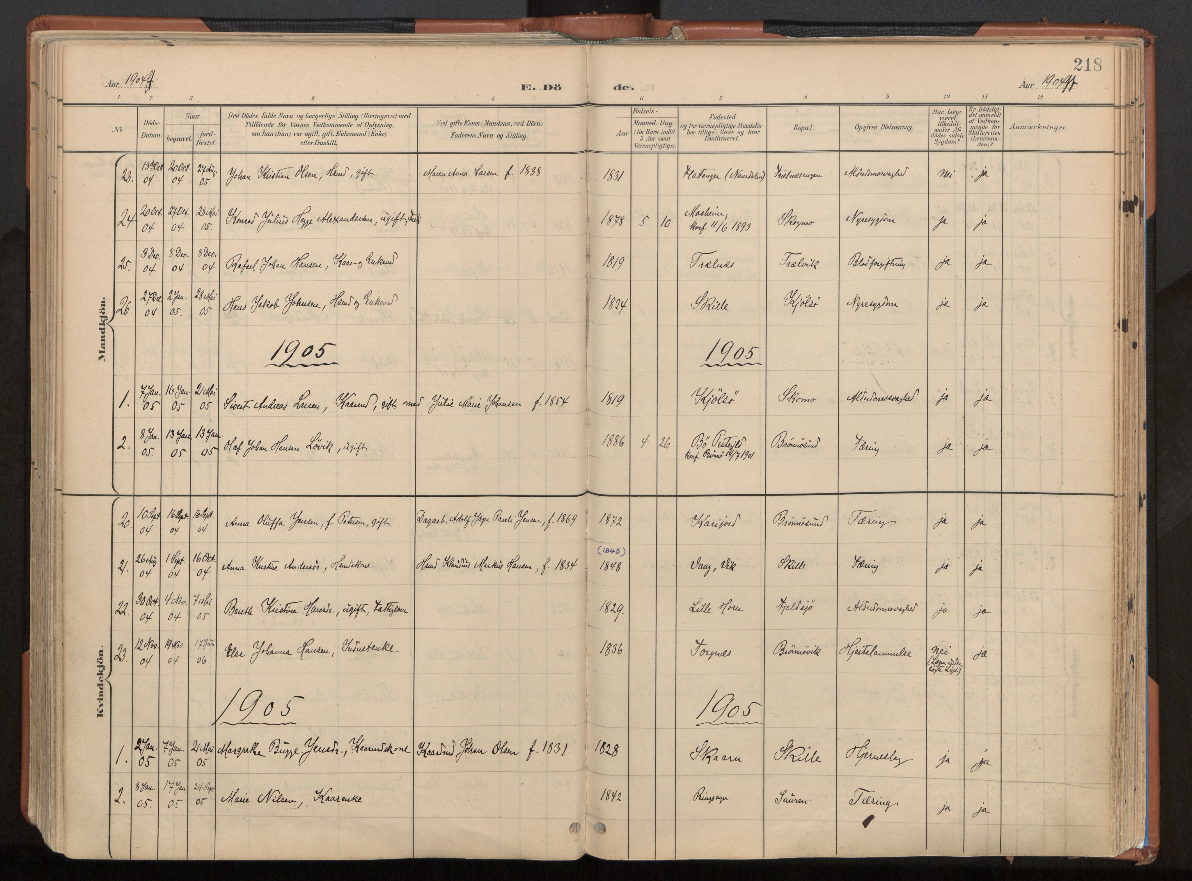 Ministerialprotokoller, klokkerbøker og fødselsregistre - Nordland, AV/SAT-A-1459/813/L0201: Parish register (official) no. 813A11, 1901-1918, p. 218