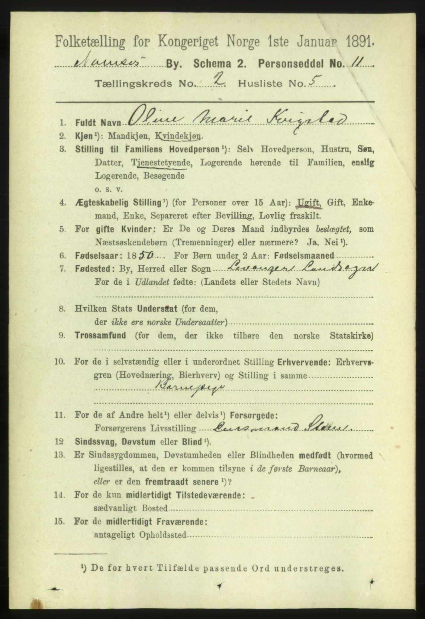 RA, 1891 census for 1703 Namsos, 1891, p. 596