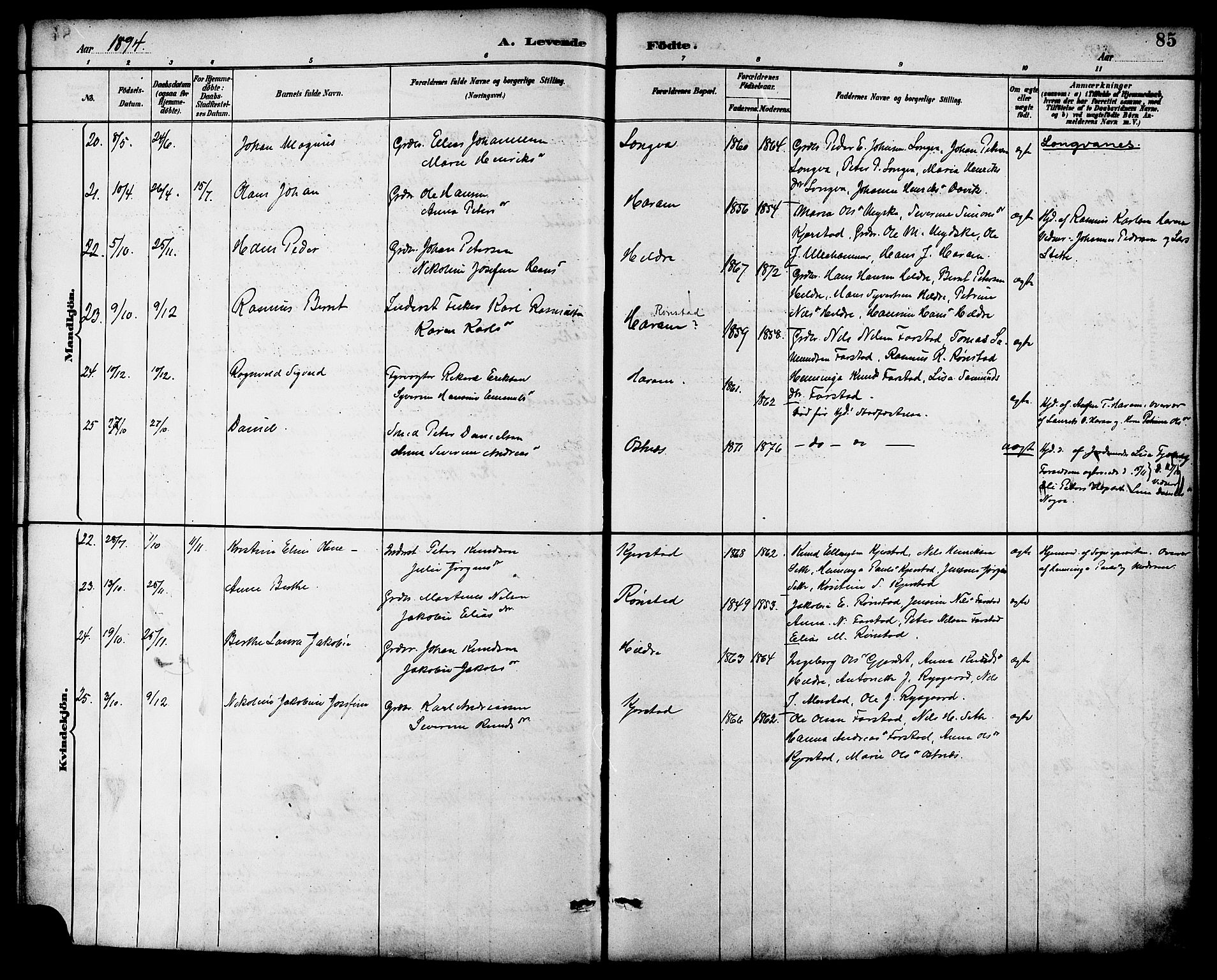 Ministerialprotokoller, klokkerbøker og fødselsregistre - Møre og Romsdal, AV/SAT-A-1454/536/L0501: Parish register (official) no. 536A10, 1884-1896, p. 85