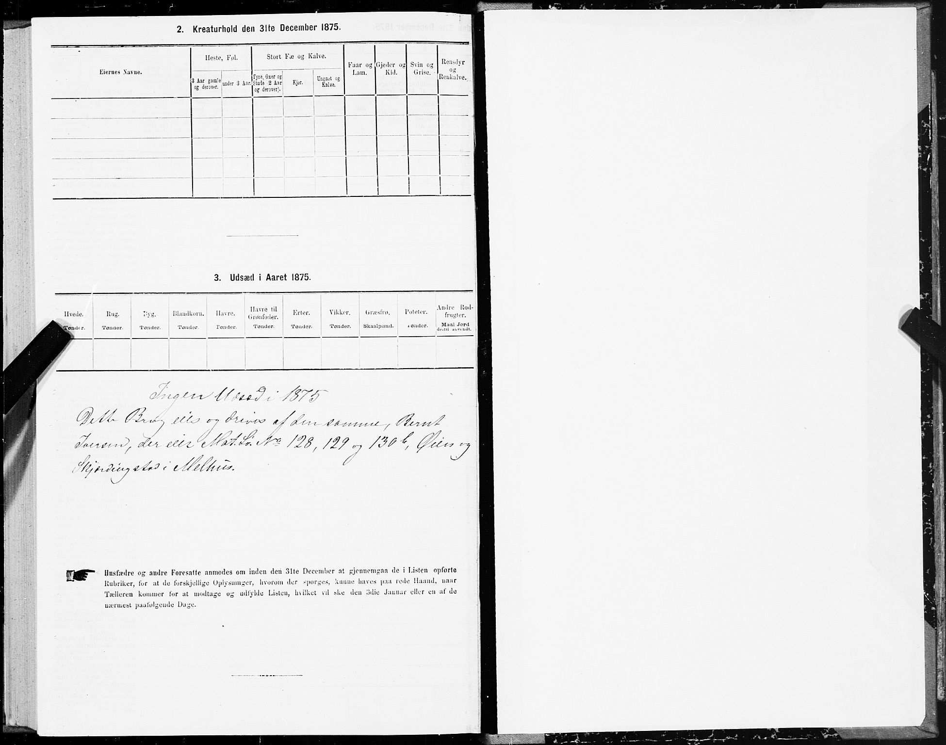 SAT, 1875 census for 1653P Melhus, 1875