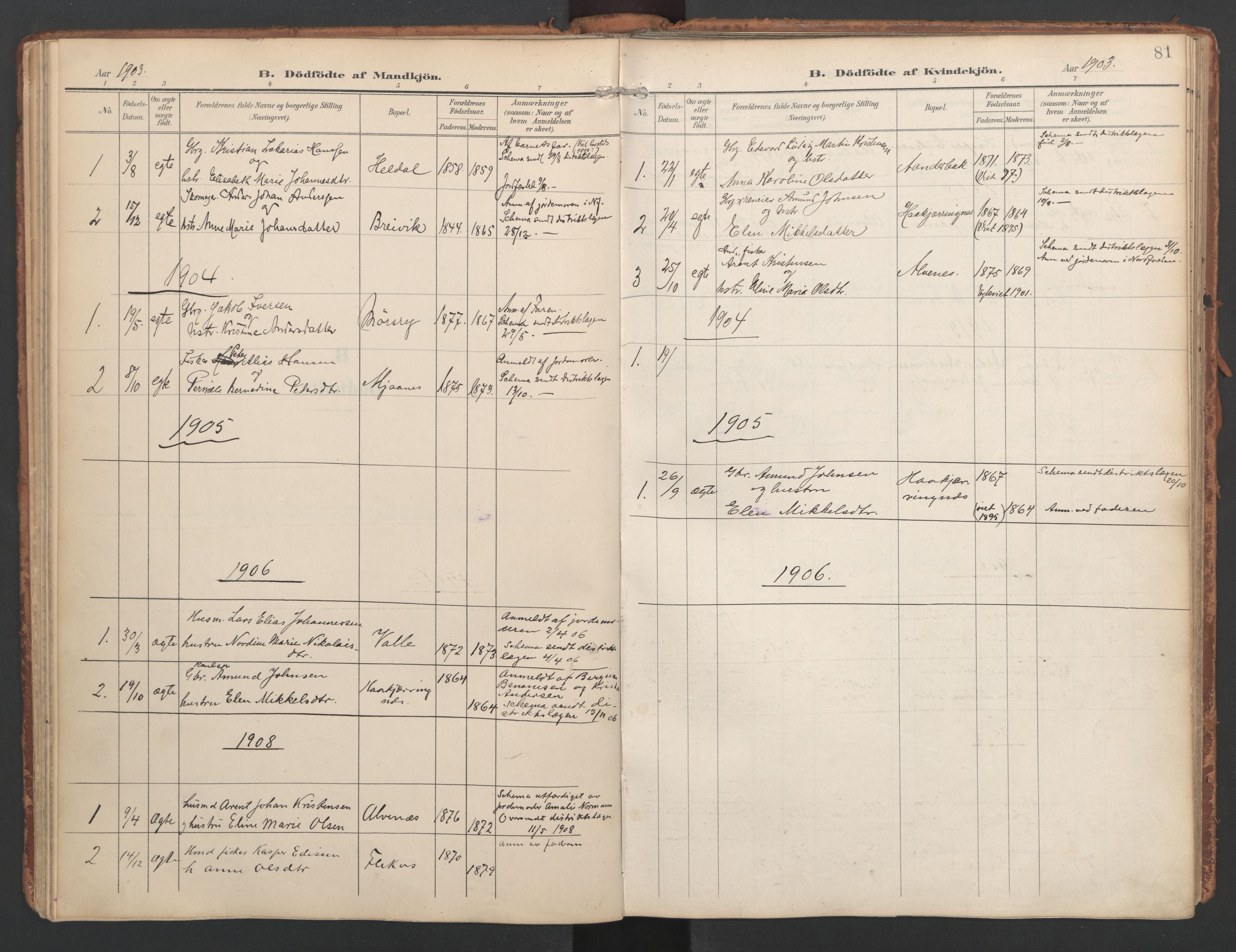 Ministerialprotokoller, klokkerbøker og fødselsregistre - Nordland, SAT/A-1459/858/L0832: Parish register (official) no. 858A02, 1902-1915, p. 81