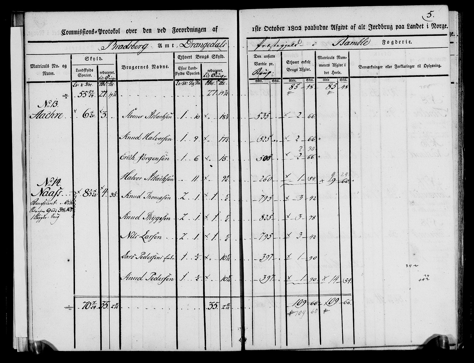 Rentekammeret inntil 1814, Realistisk ordnet avdeling, AV/RA-EA-4070/N/Ne/Nea/L0068: og 0069: Nedre Telemarken og Bamble fogderi. Kommisjonsprotokoll for Drangedal, Sannidal, Bamble og Eidanger prestegjeld., 1803, p. 10