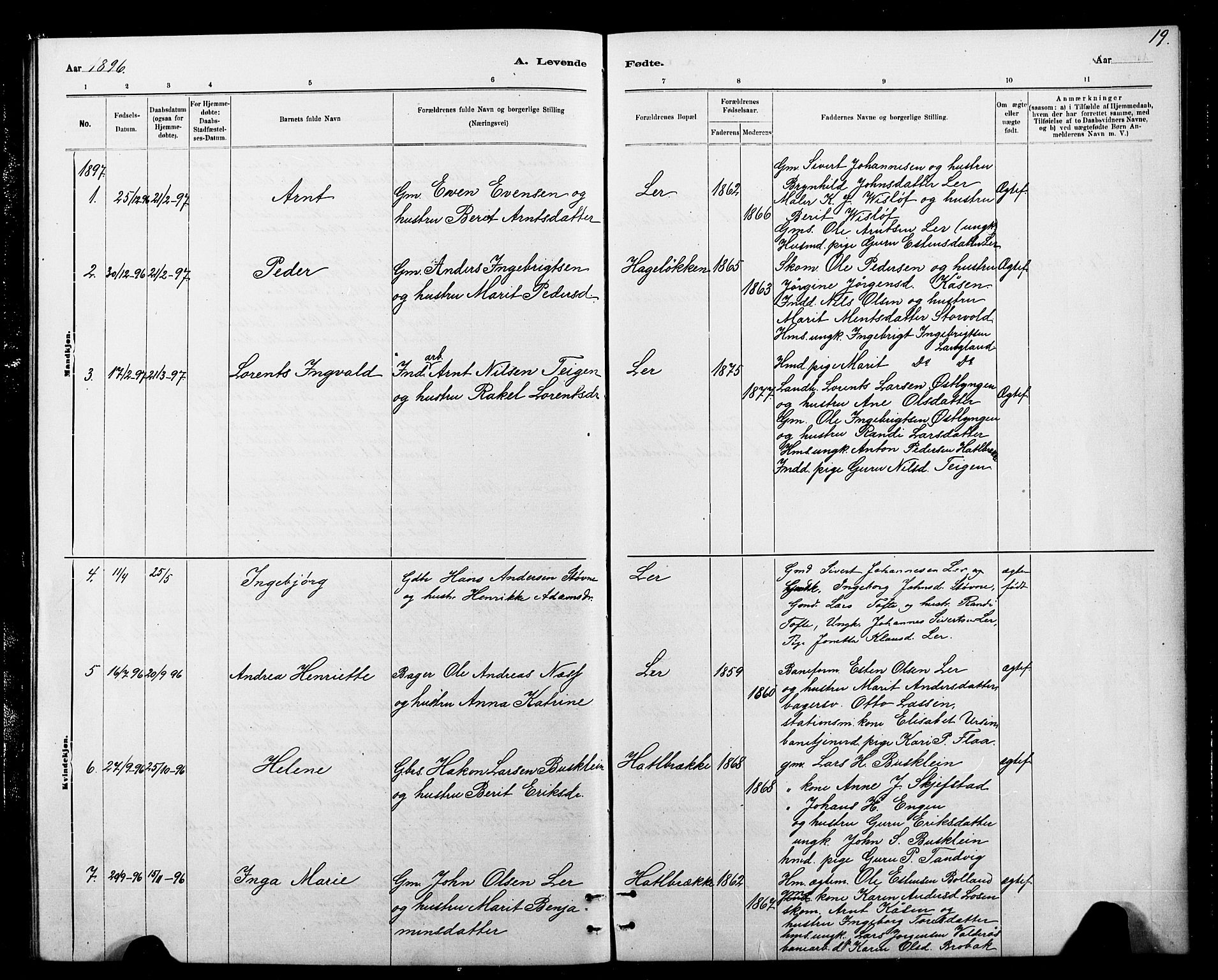 Ministerialprotokoller, klokkerbøker og fødselsregistre - Sør-Trøndelag, SAT/A-1456/693/L1123: Parish register (copy) no. 693C04, 1887-1910, p. 19