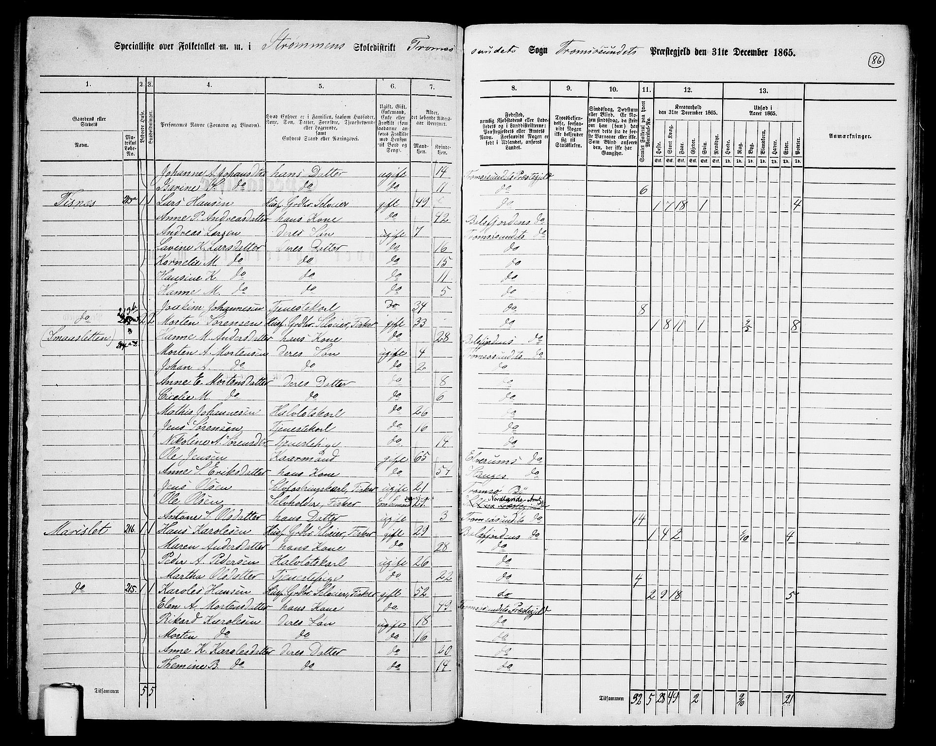 RA, 1865 census for Tromsøysund, 1865, p. 75