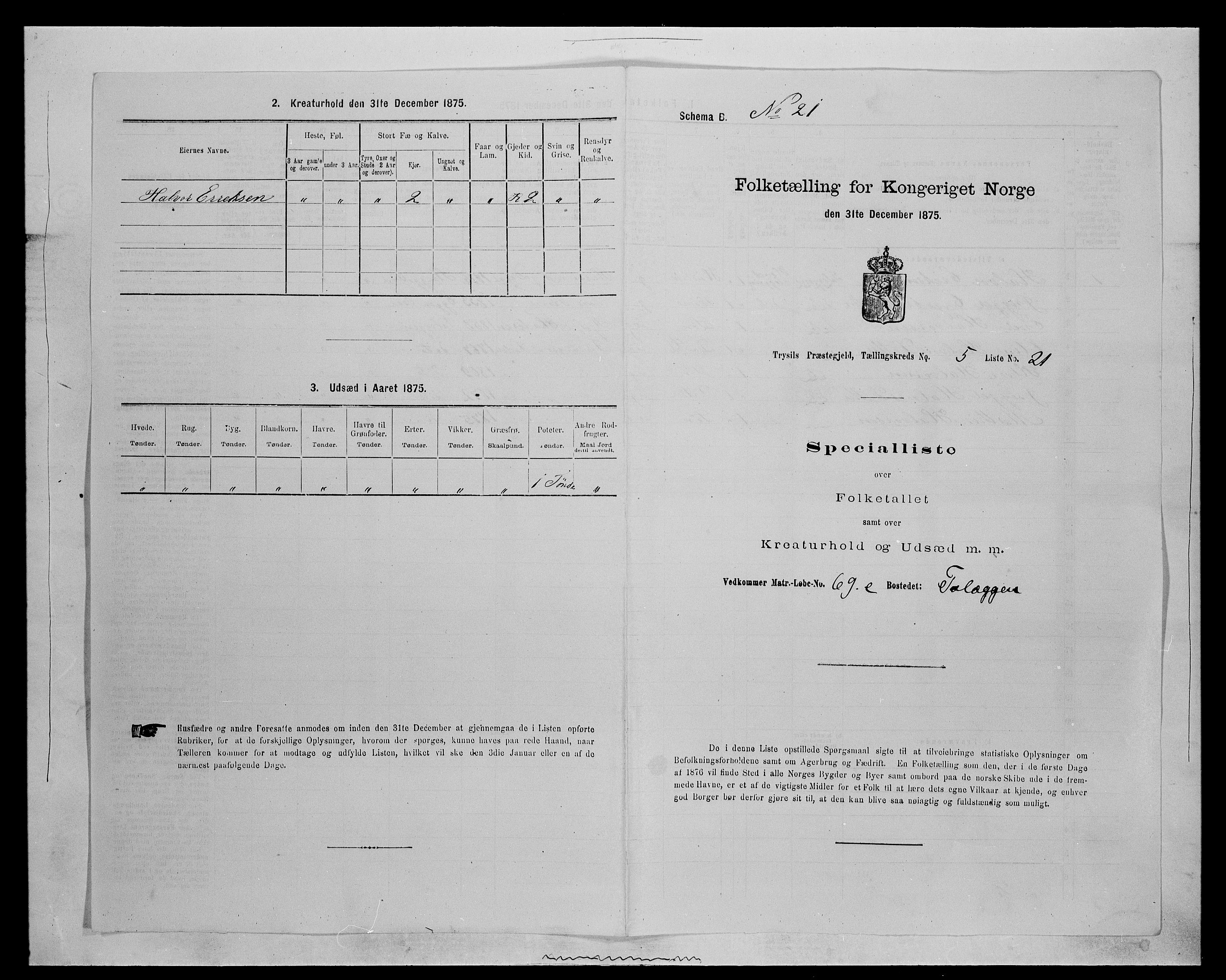 SAH, 1875 census for 0428P Trysil, 1875, p. 714