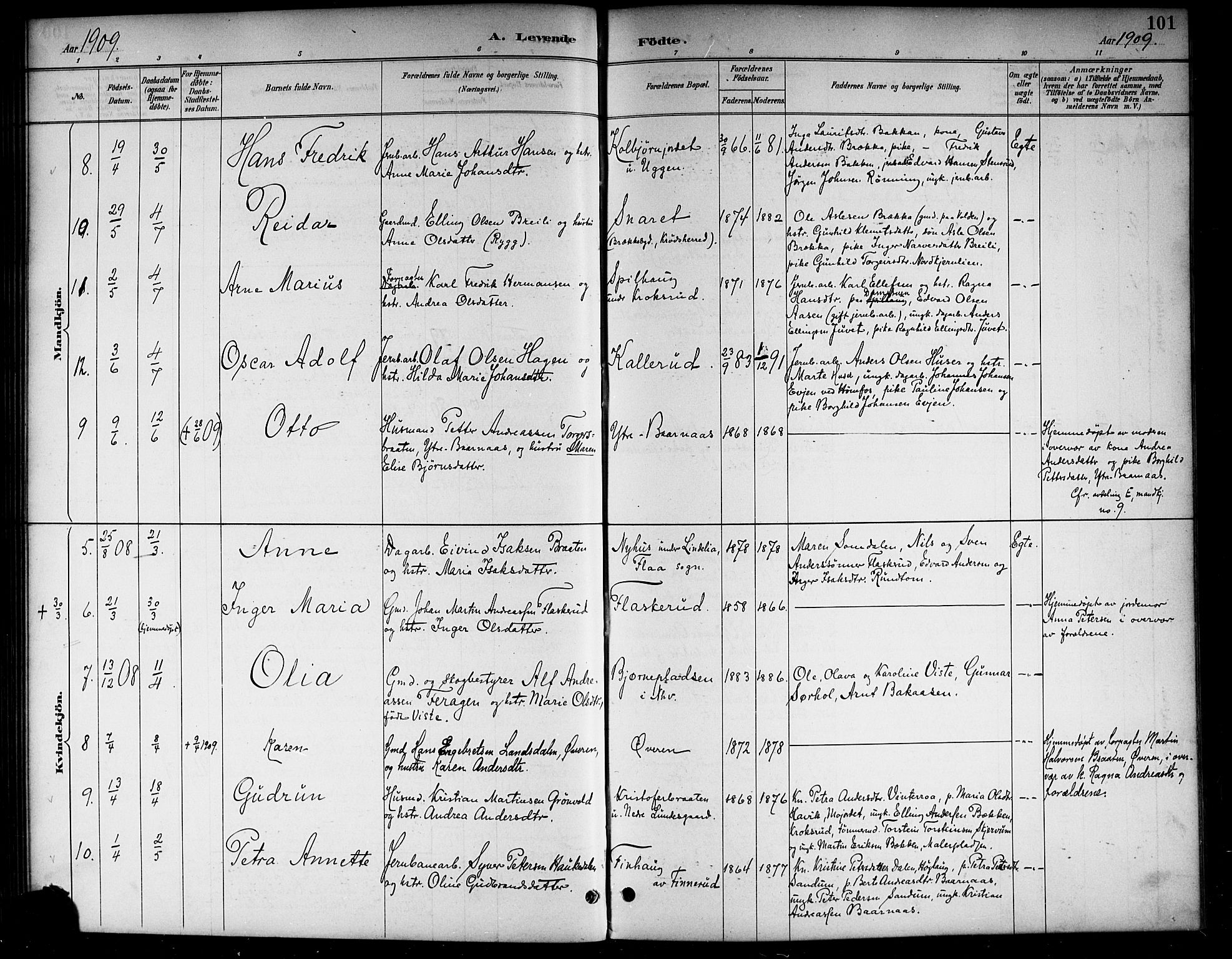 Lunder kirkebøker, AV/SAKO-A-629/G/Ga/L0004: Parish register (copy) no. I 4, 1889-1917, p. 101