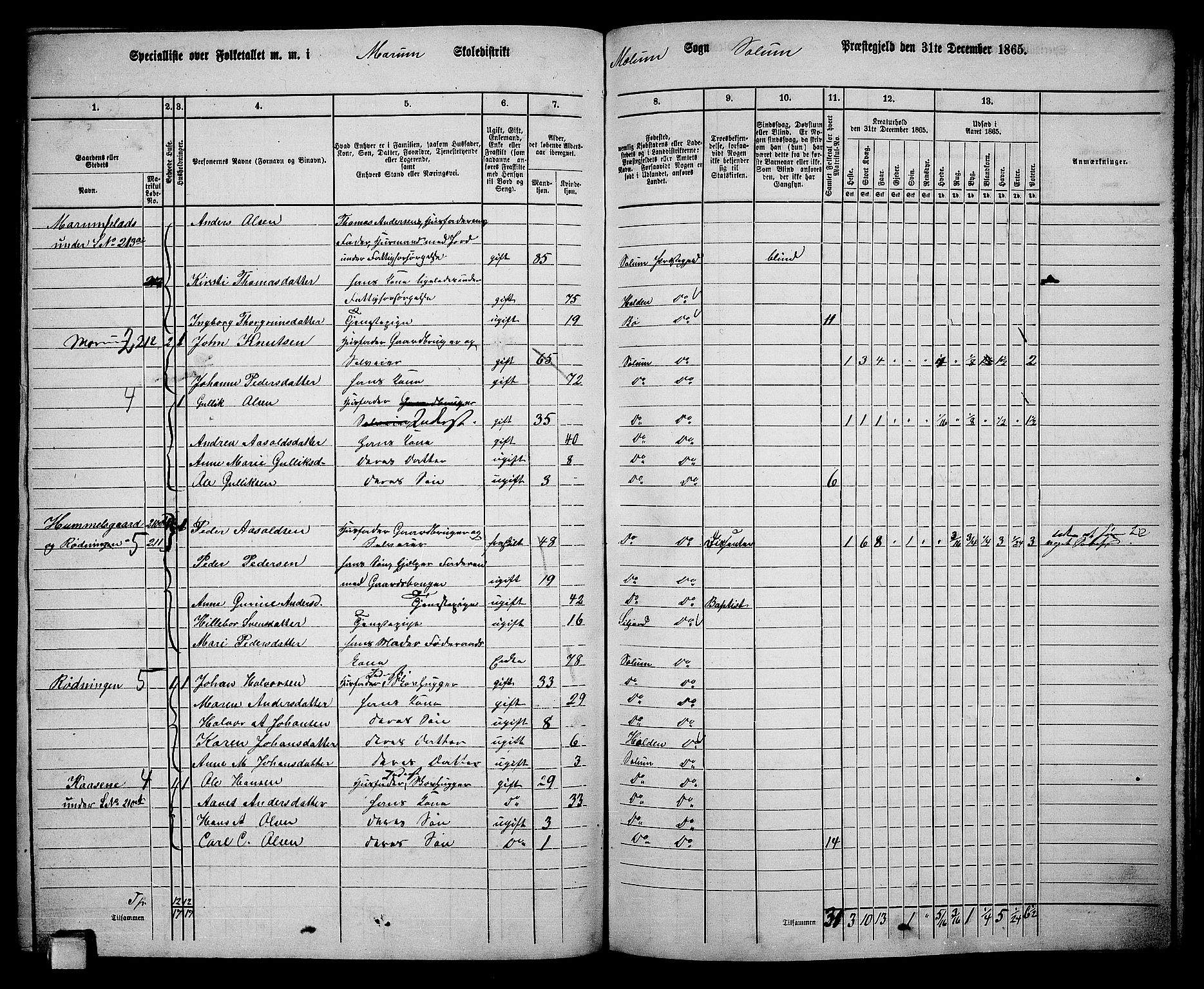 RA, 1865 census for Solum, 1865, p. 175