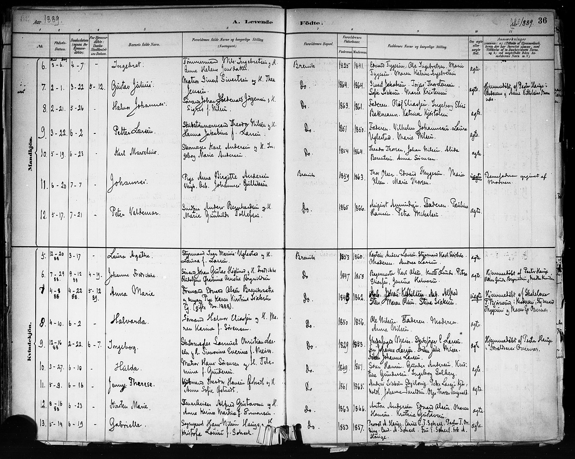 Brevik kirkebøker, AV/SAKO-A-255/F/Fa/L0007: Parish register (official) no. 7, 1882-1900, p. 36