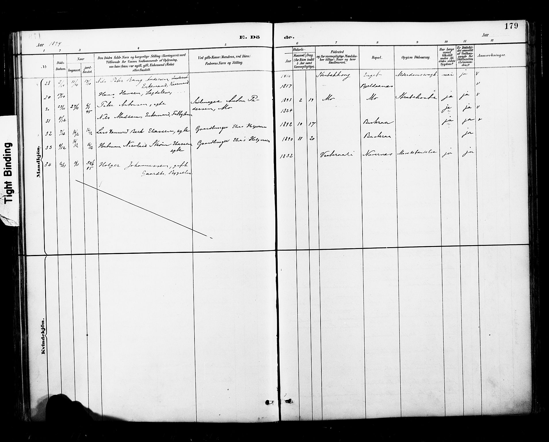 Ministerialprotokoller, klokkerbøker og fødselsregistre - Nordland, AV/SAT-A-1459/827/L0401: Parish register (official) no. 827A13, 1887-1905, p. 179