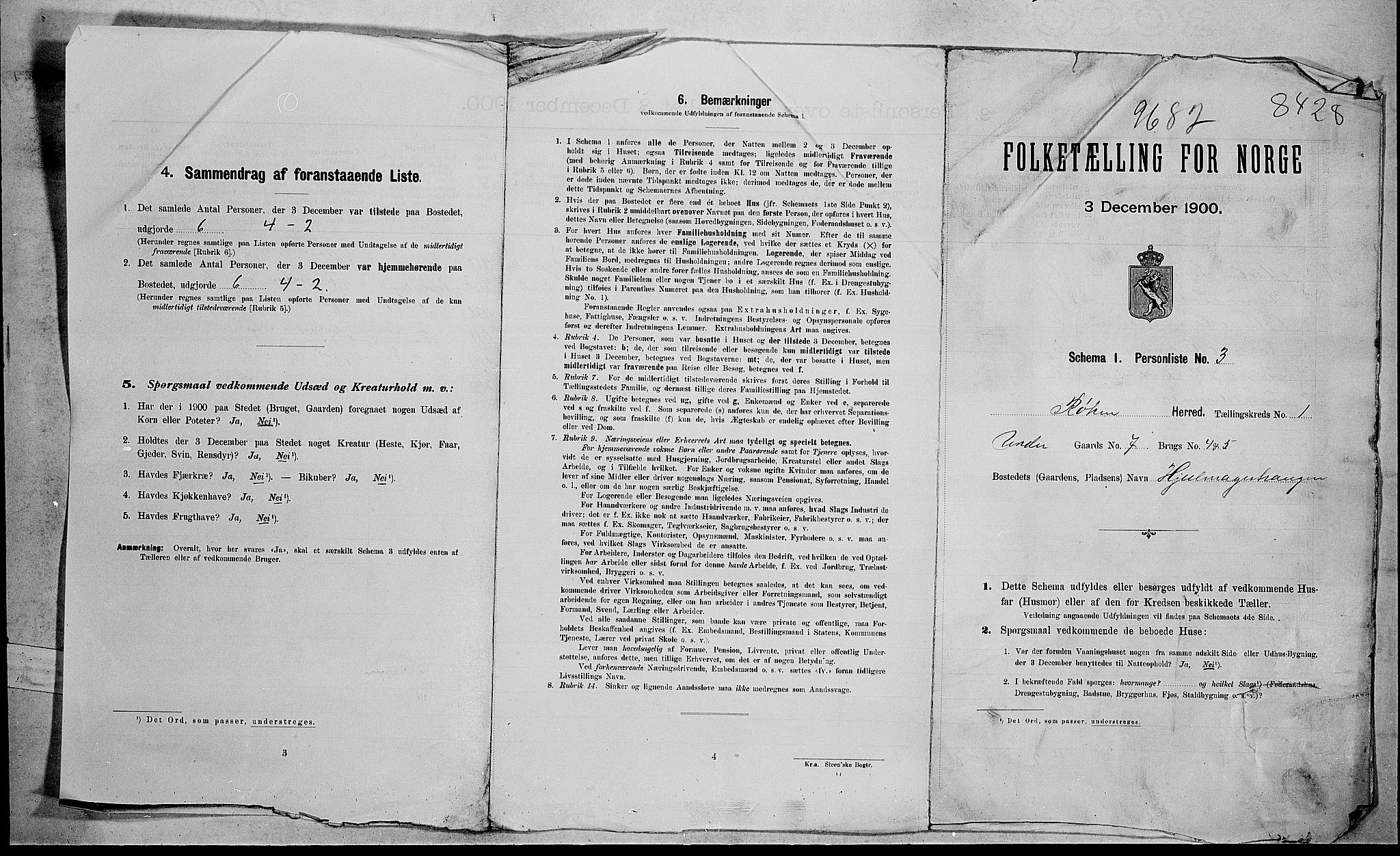 RA, 1900 census for Røyken, 1900, p. 31