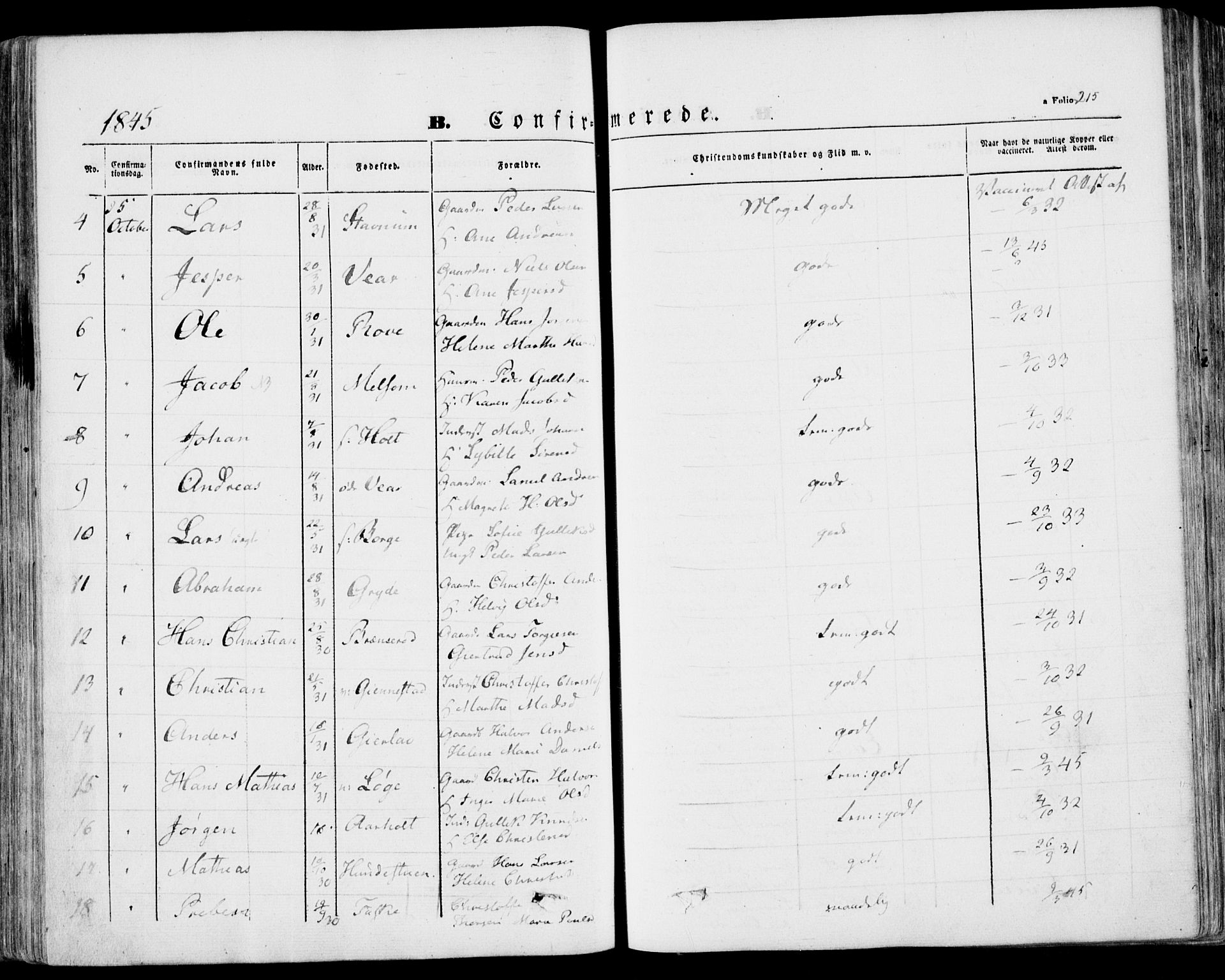 Stokke kirkebøker, AV/SAKO-A-320/F/Fa/L0007: Parish register (official) no. I 7, 1844-1857, p. 215