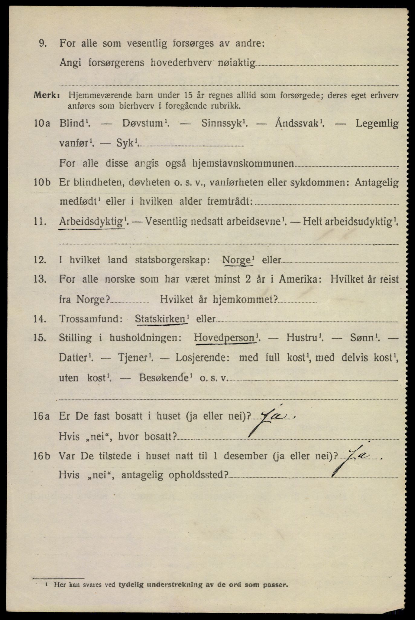 SAKO, 1920 census for Hønefoss, 1920, p. 6965