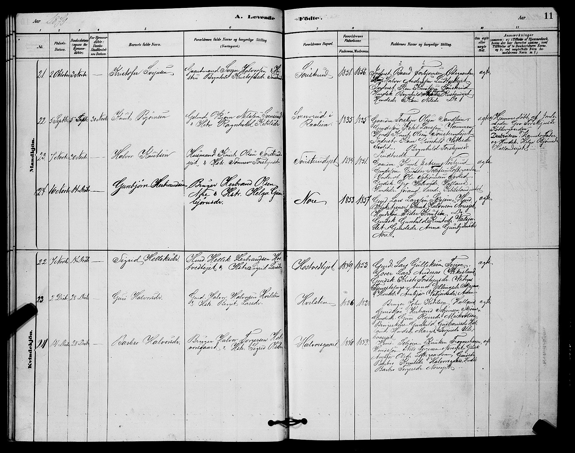 Nore kirkebøker, AV/SAKO-A-238/G/Ga/L0002: Parish register (copy) no. I 2, 1878-1885, p. 11