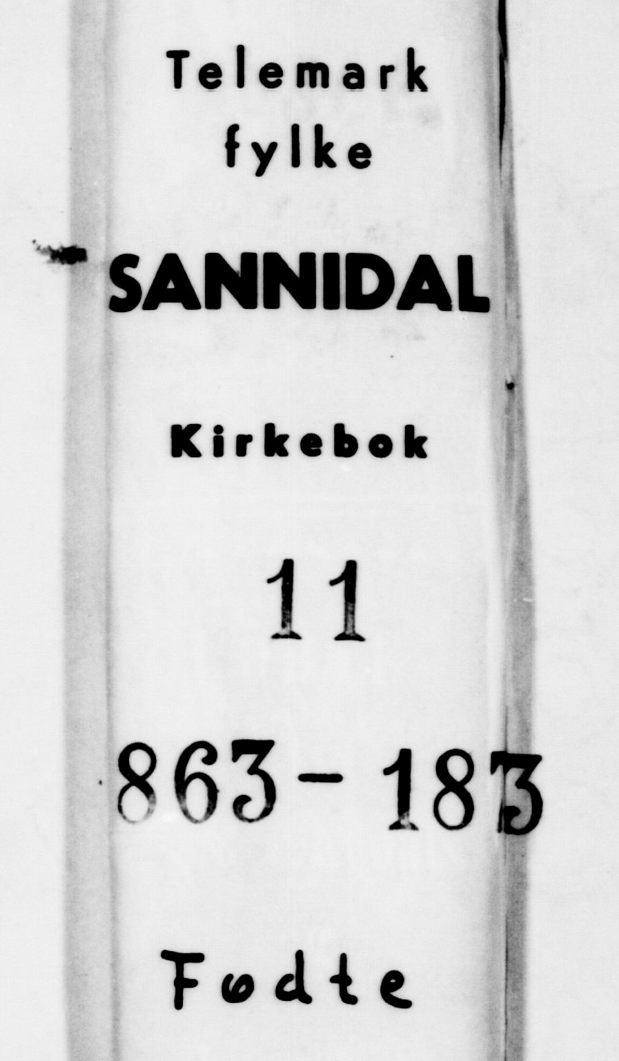Sannidal kirkebøker, SAKO/A-296/F/Fa/L0011: Parish register (official) no. 11, 1863-1873