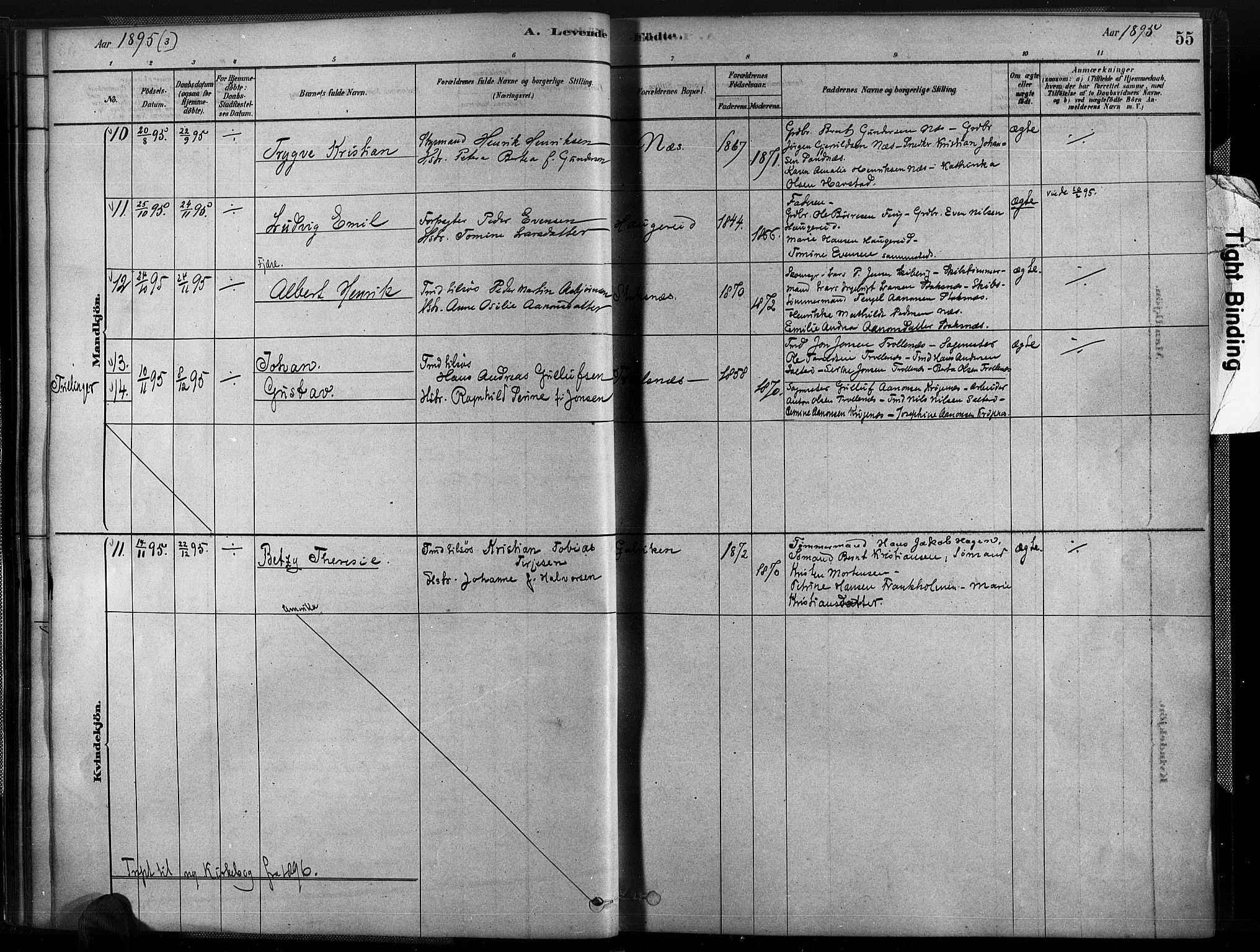 Austre Moland sokneprestkontor, SAK/1111-0001/F/Fa/Fab/L0001: Parish register (official) no. A 1, 1878-1898, p. 55