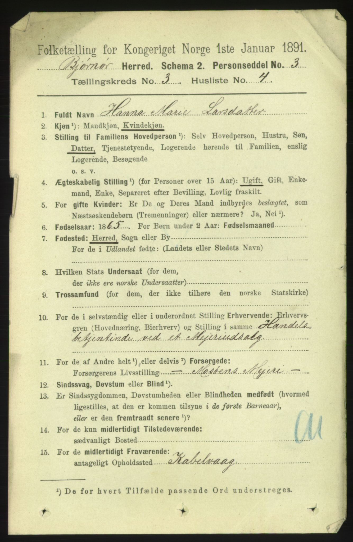 RA, 1891 census for 1632 Bjørnør, 1891, p. 1213