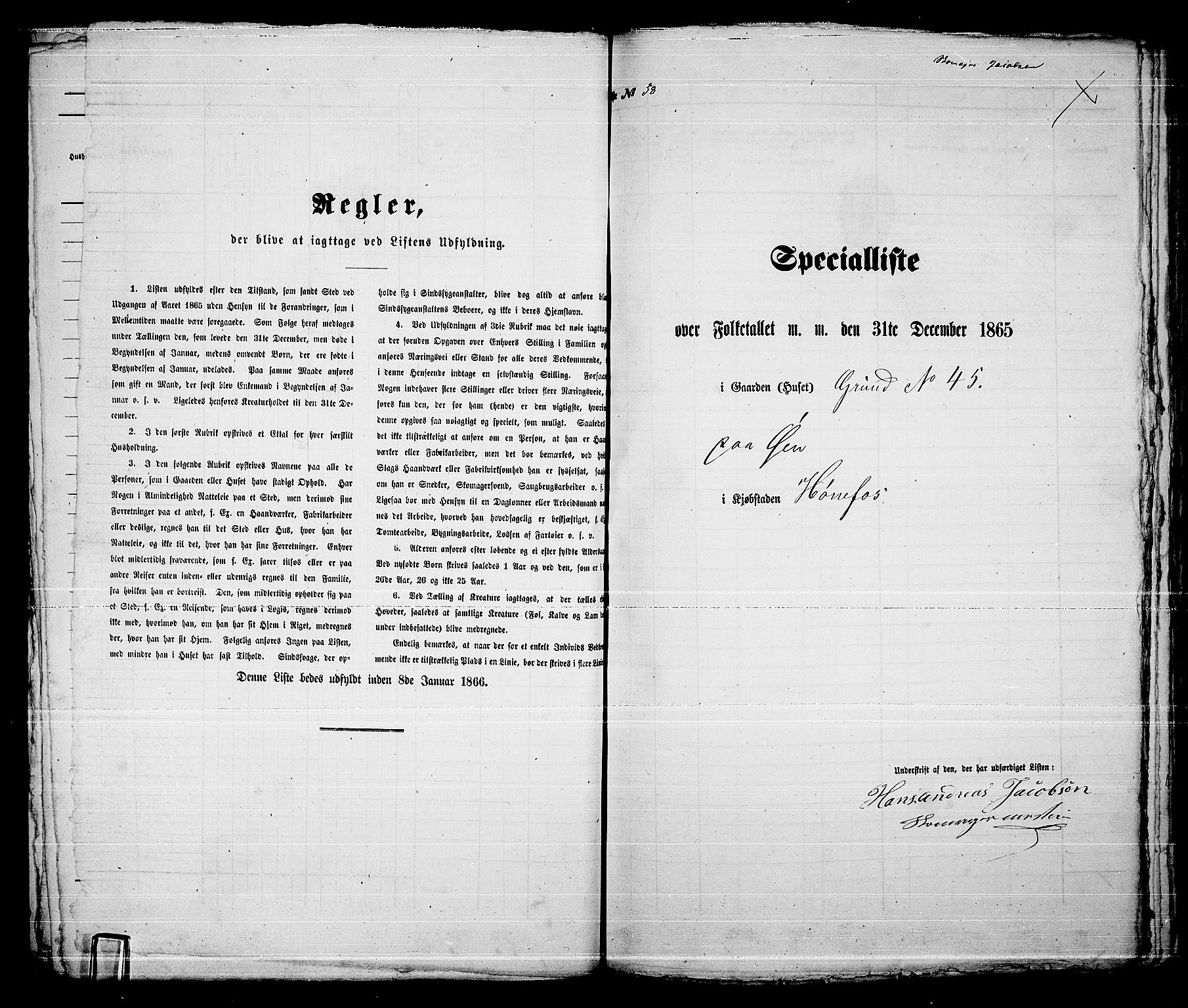 RA, 1865 census for Norderhov/Hønefoss, 1865, p. 114