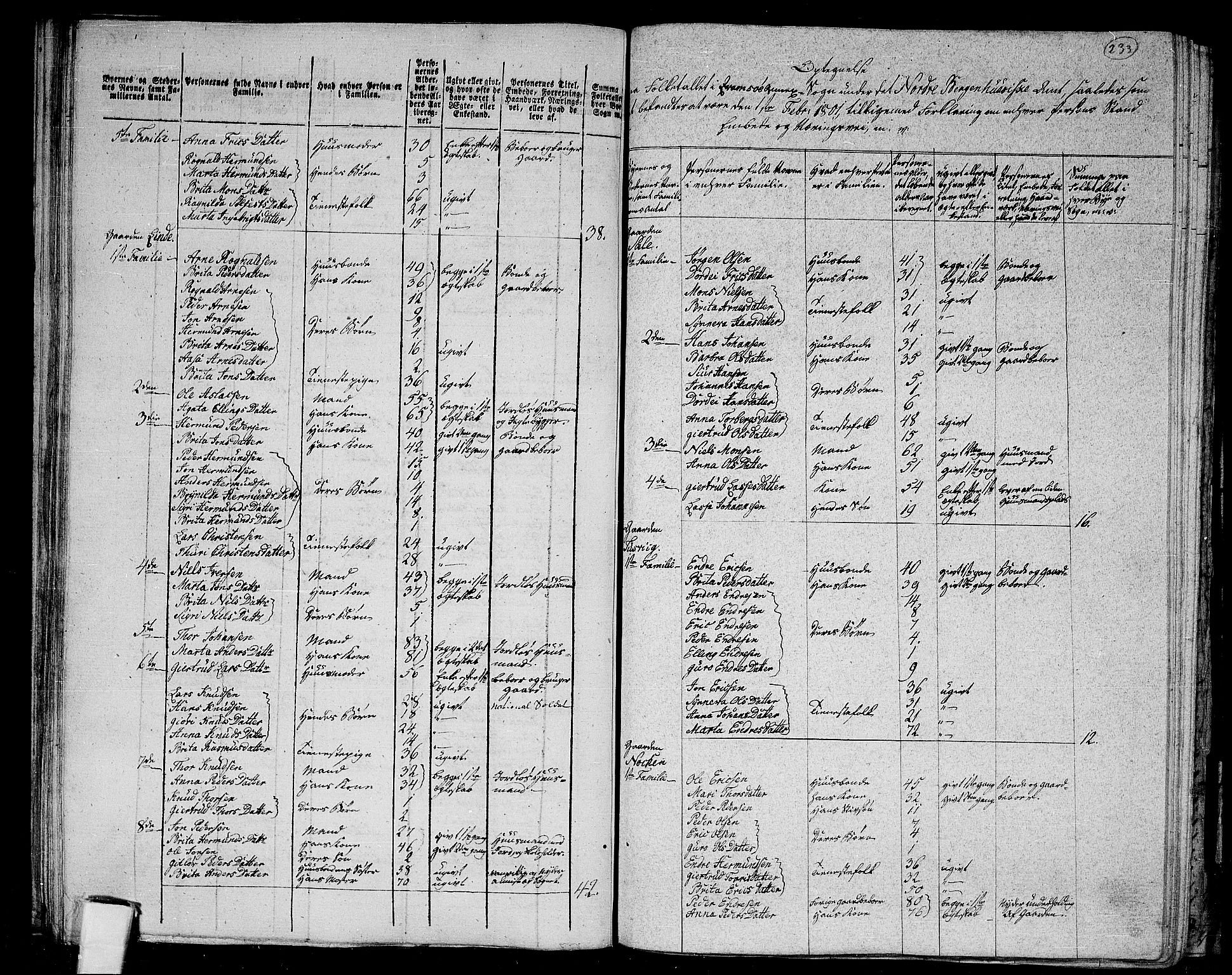 RA, 1801 census for 1417P Vik, 1801, p. 232b-233a