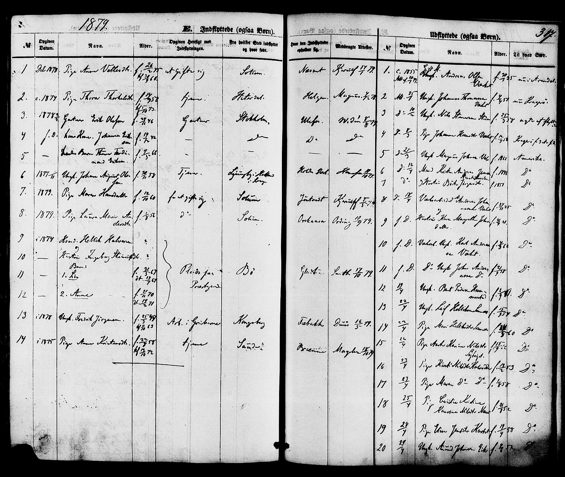 Holla kirkebøker, SAKO/A-272/F/Fa/L0007: Parish register (official) no. 7, 1869-1881, p. 317