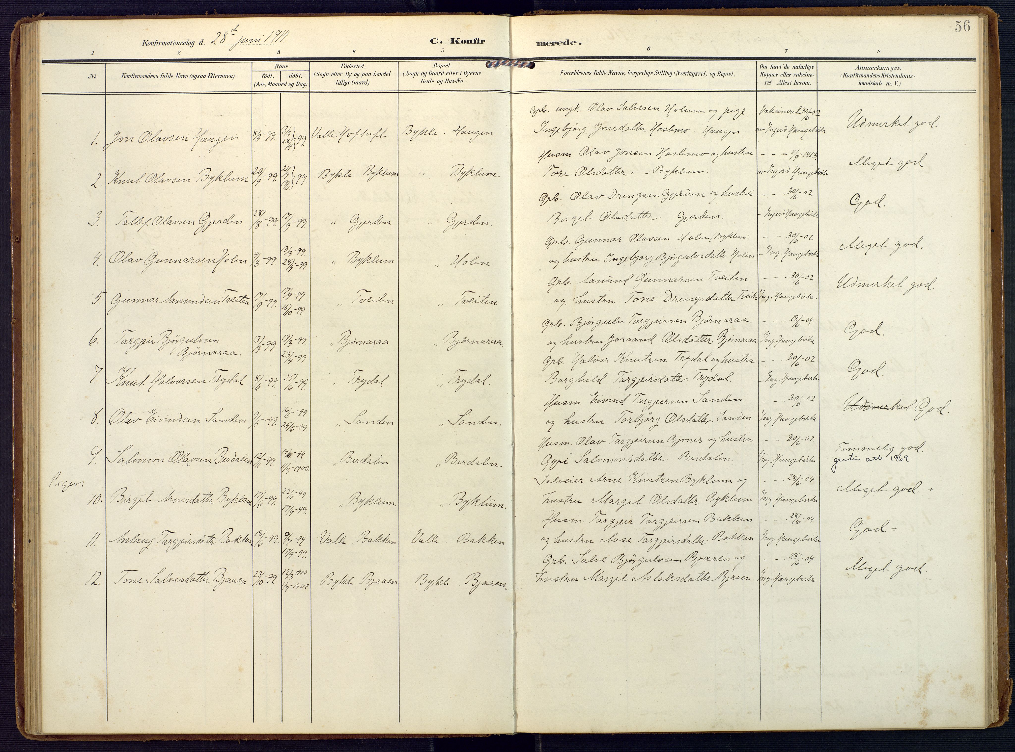 Valle sokneprestkontor, SAK/1111-0044/F/Fa/Faa/L0002: Parish register (official) no. A 2, 1907-1919, p. 56