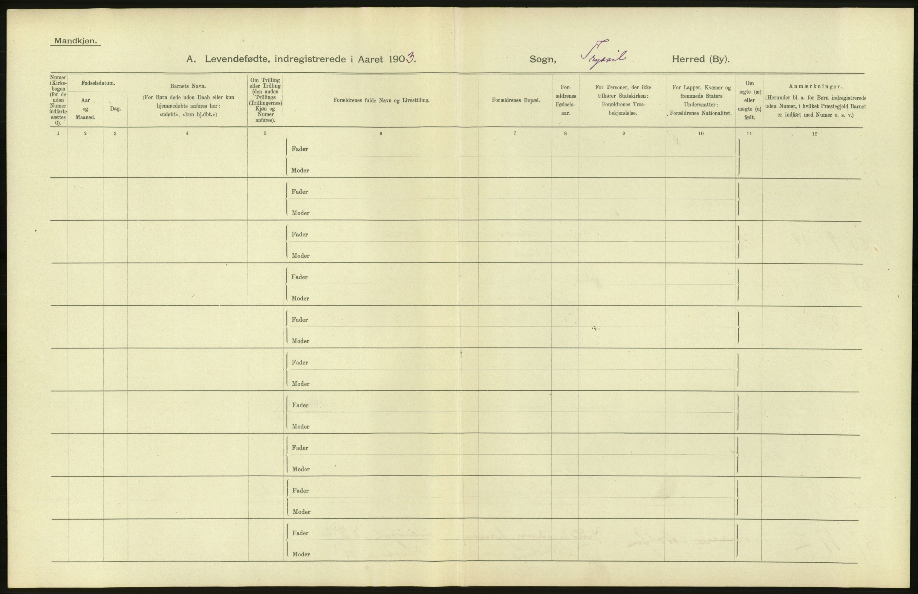 Statistisk sentralbyrå, Sosiodemografiske emner, Befolkning, AV/RA-S-2228/D/Df/Dfa/Dfaa/L0005: Hedemarkens amt: Fødte, gifte, døde, 1903, p. 8