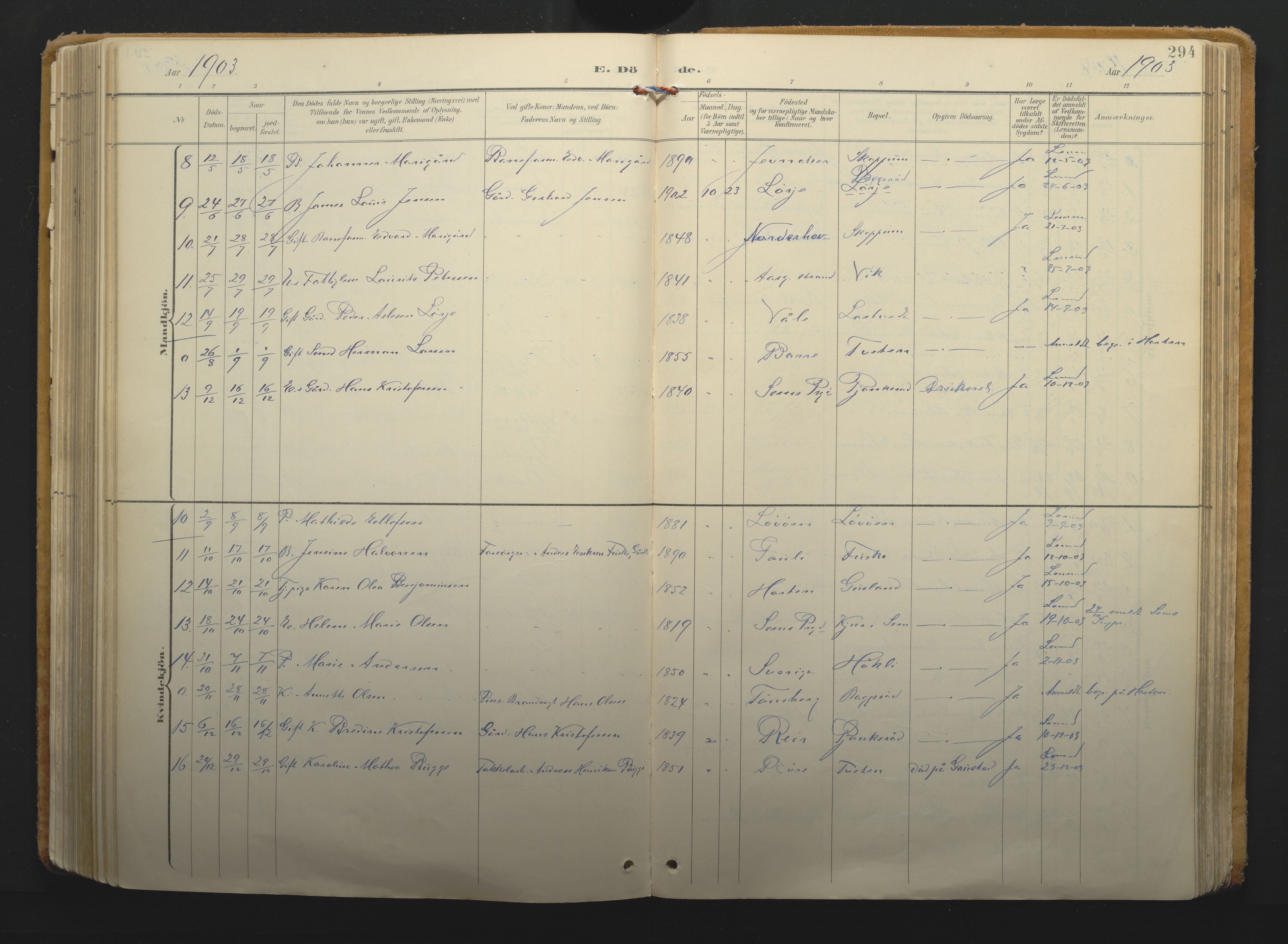 Borre kirkebøker, AV/SAKO-A-338/F/Fa/L0011: Parish register (official) no. I 11, 1897-1921, p. 294