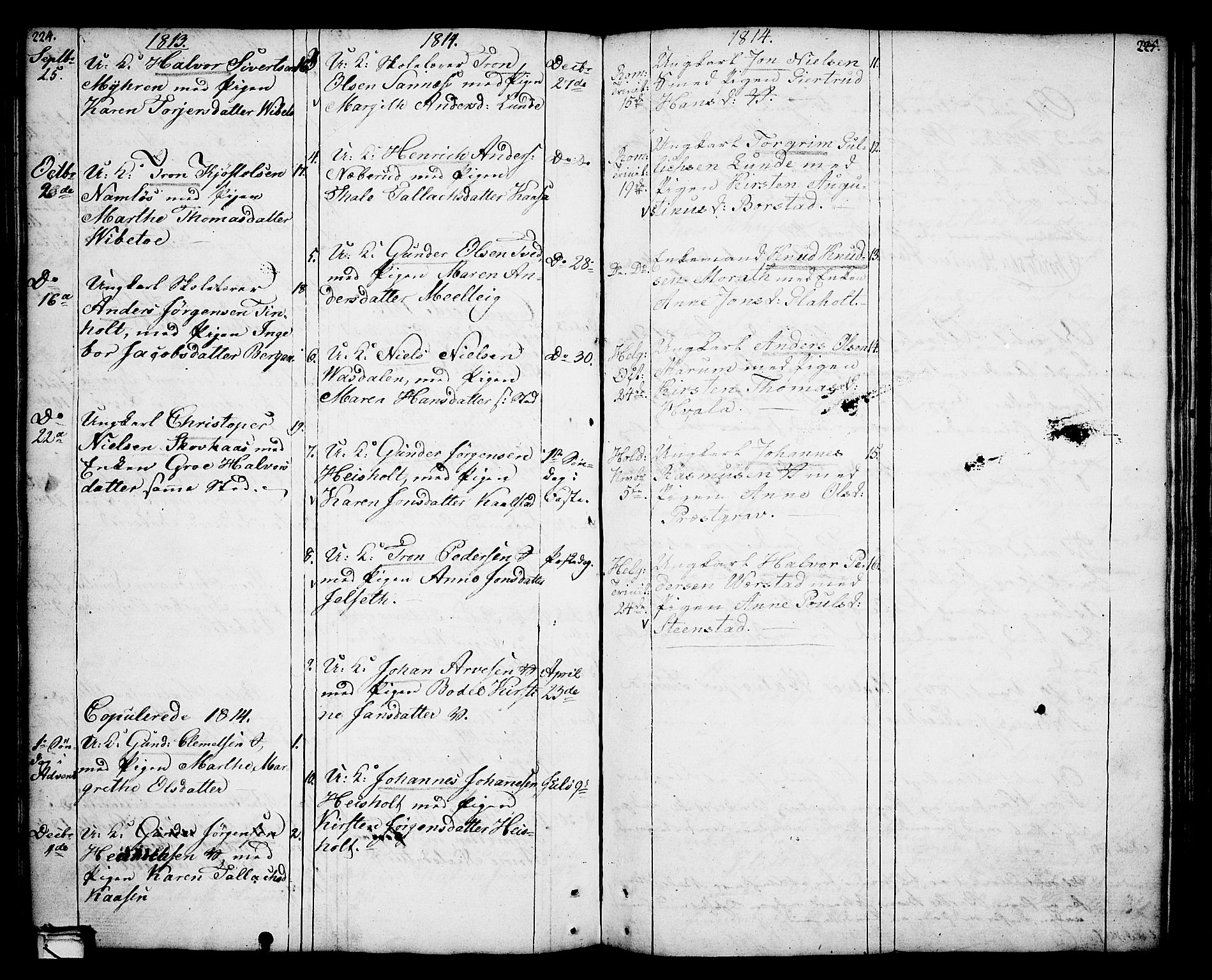 Holla kirkebøker, SAKO/A-272/F/Fa/L0002: Parish register (official) no. 2, 1779-1814, p. 224-225