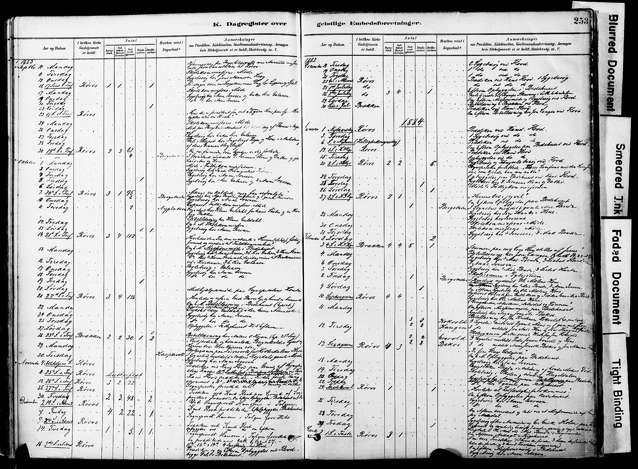 Ministerialprotokoller, klokkerbøker og fødselsregistre - Sør-Trøndelag, SAT/A-1456/681/L0933: Parish register (official) no. 681A11, 1879-1890, p. 253