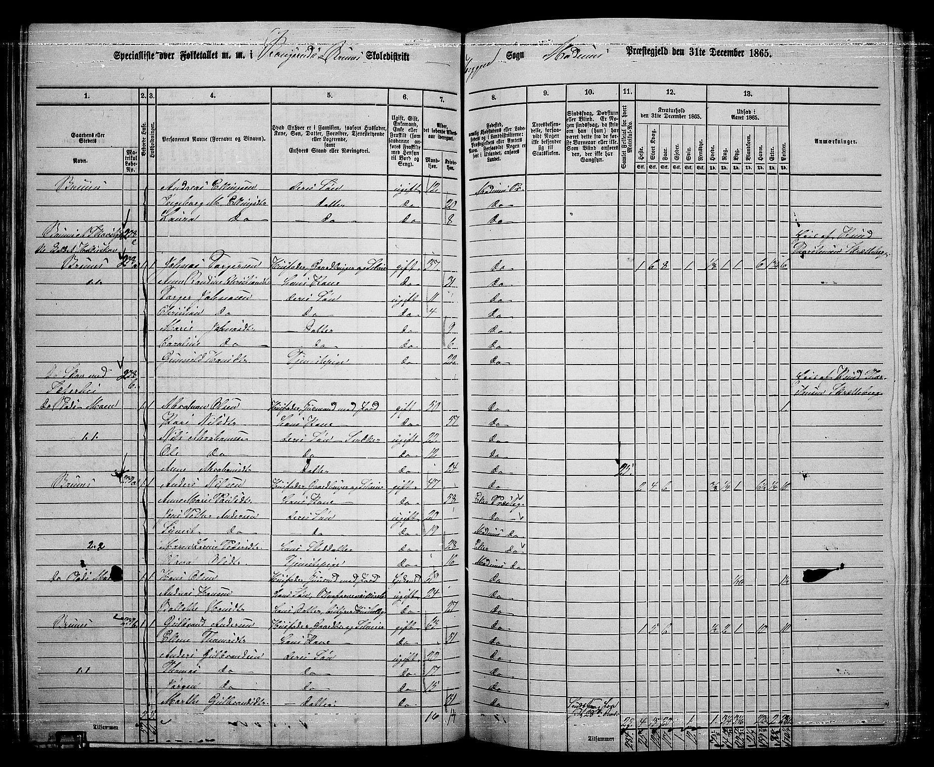 RA, 1865 census for Modum, 1865, p. 142