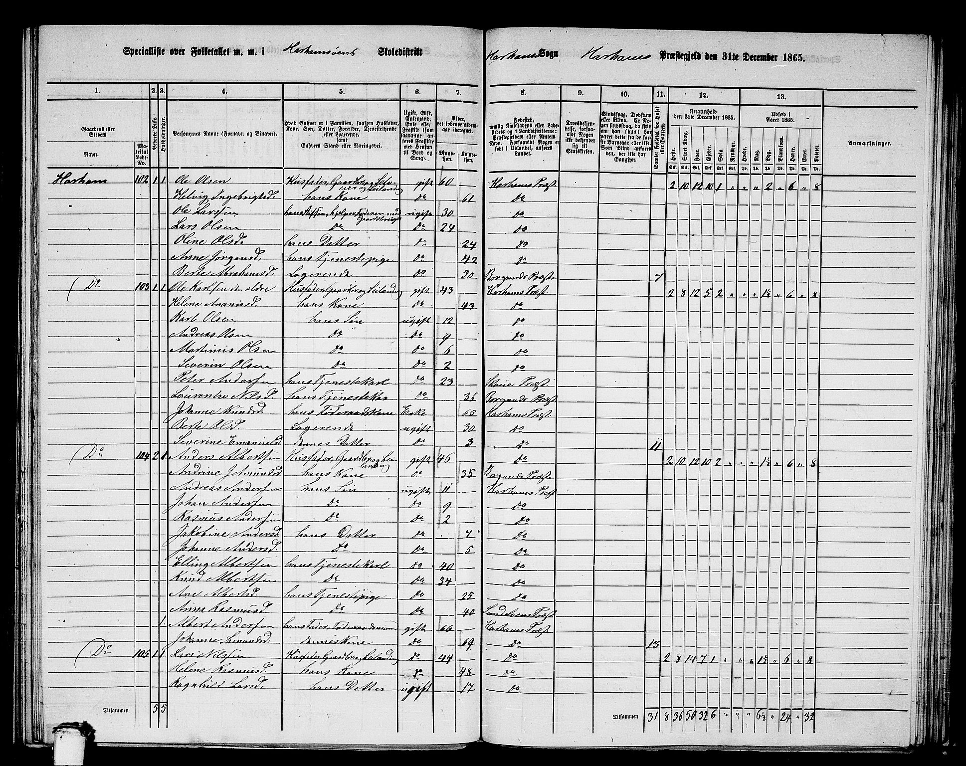 RA, 1865 census for Haram, 1865, p. 49