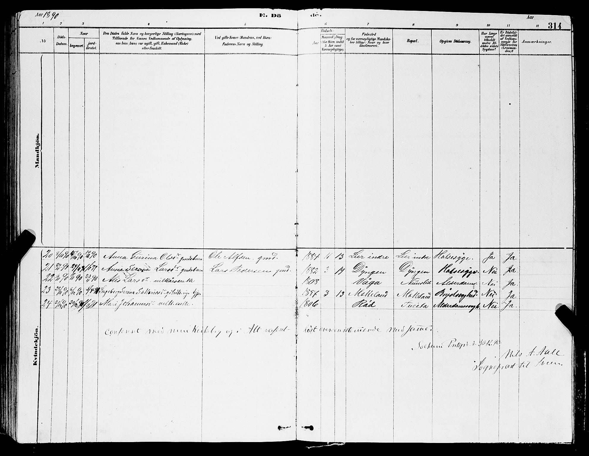 Sveio Sokneprestembete, AV/SAB-A-78501/H/Hab: Parish register (copy) no. A 3, 1878-1896, p. 314