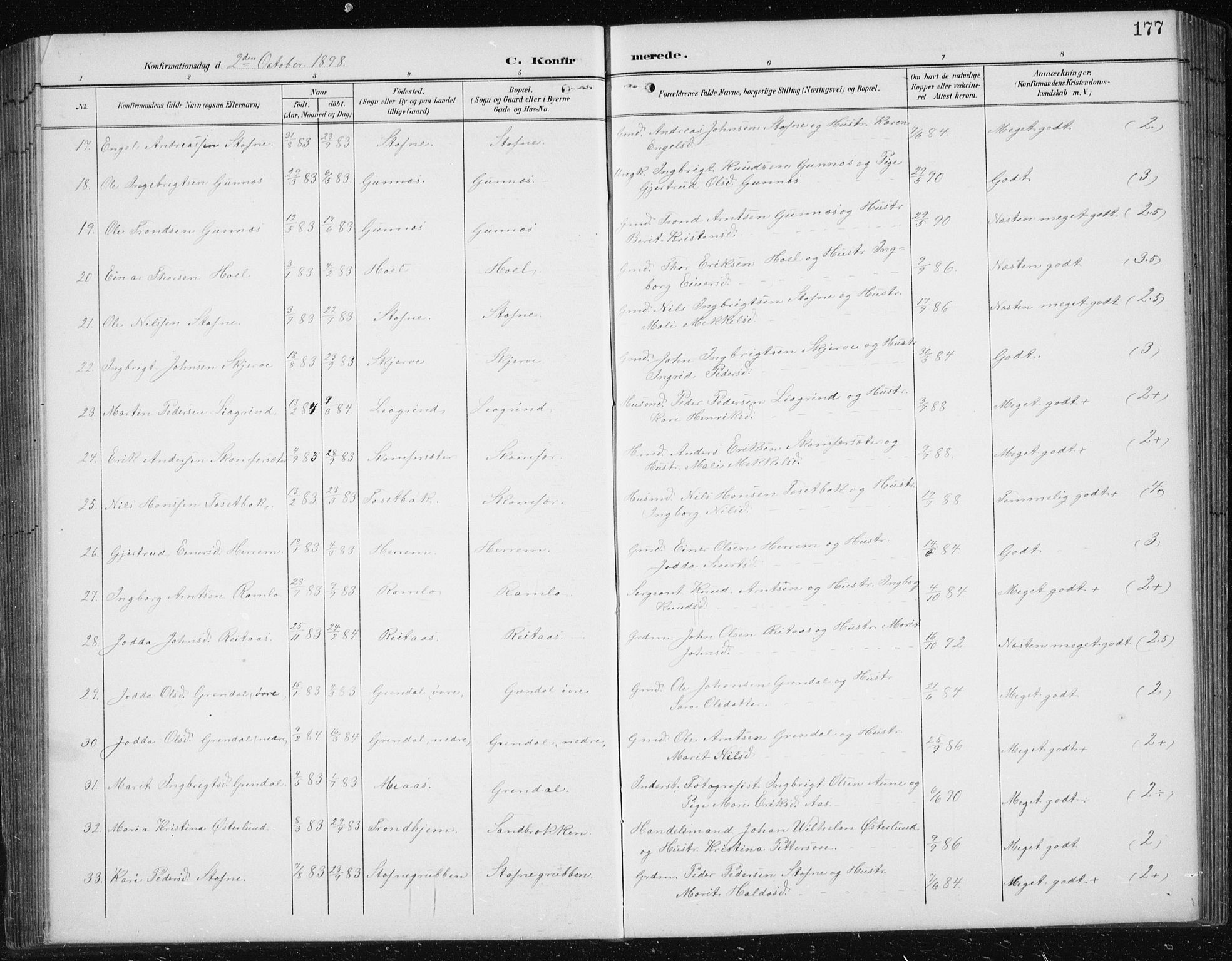 Ministerialprotokoller, klokkerbøker og fødselsregistre - Sør-Trøndelag, SAT/A-1456/674/L0876: Parish register (copy) no. 674C03, 1892-1912, p. 177