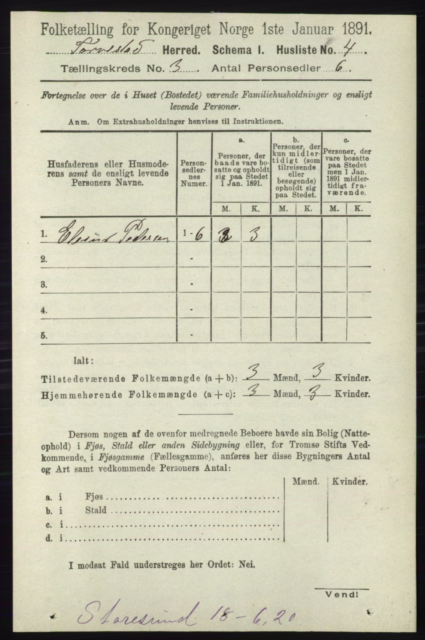 RA, 1891 census for 1152 Torvastad, 1891, p. 874