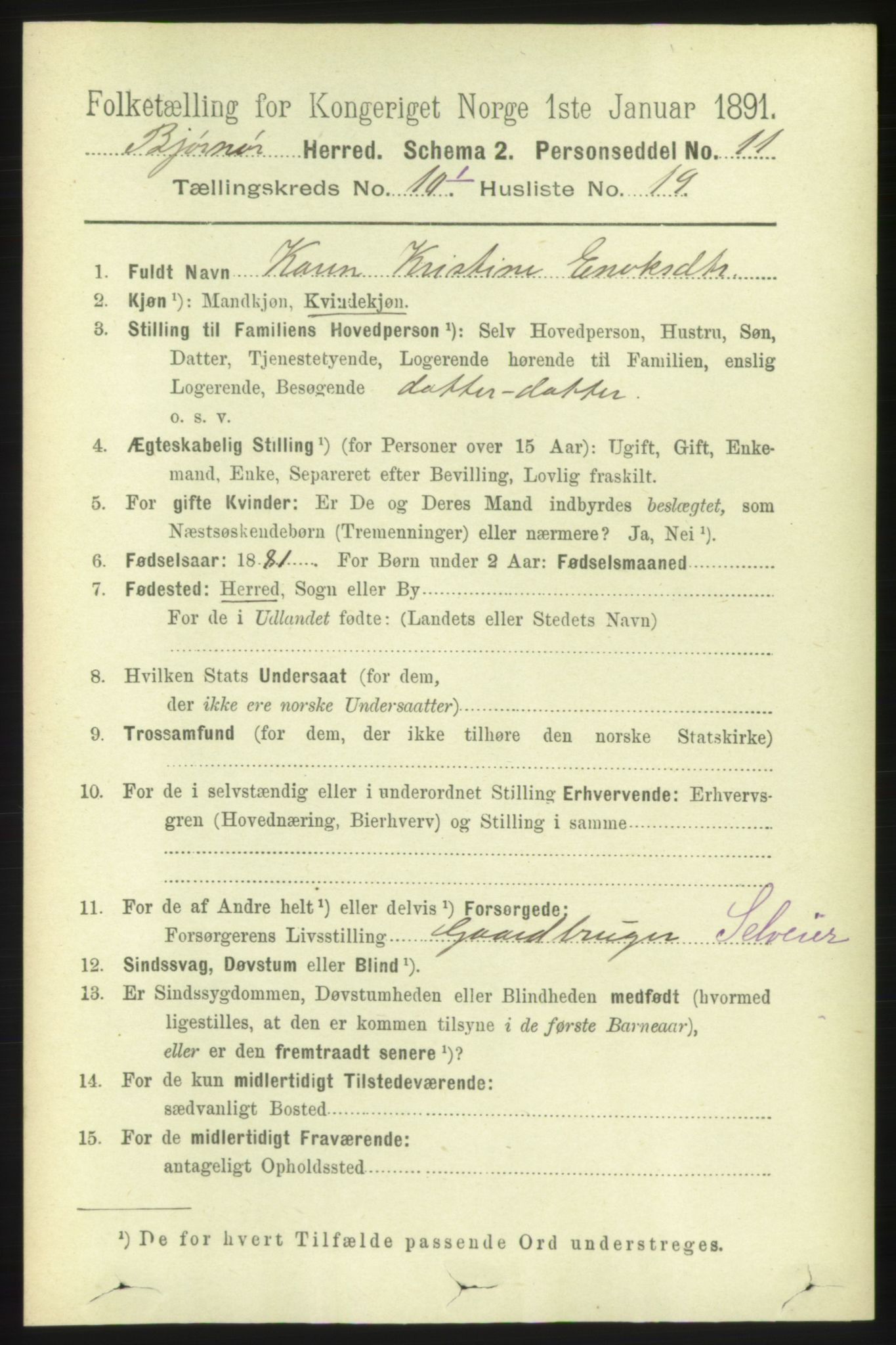 RA, 1891 census for 1632 Bjørnør, 1891, p. 4265