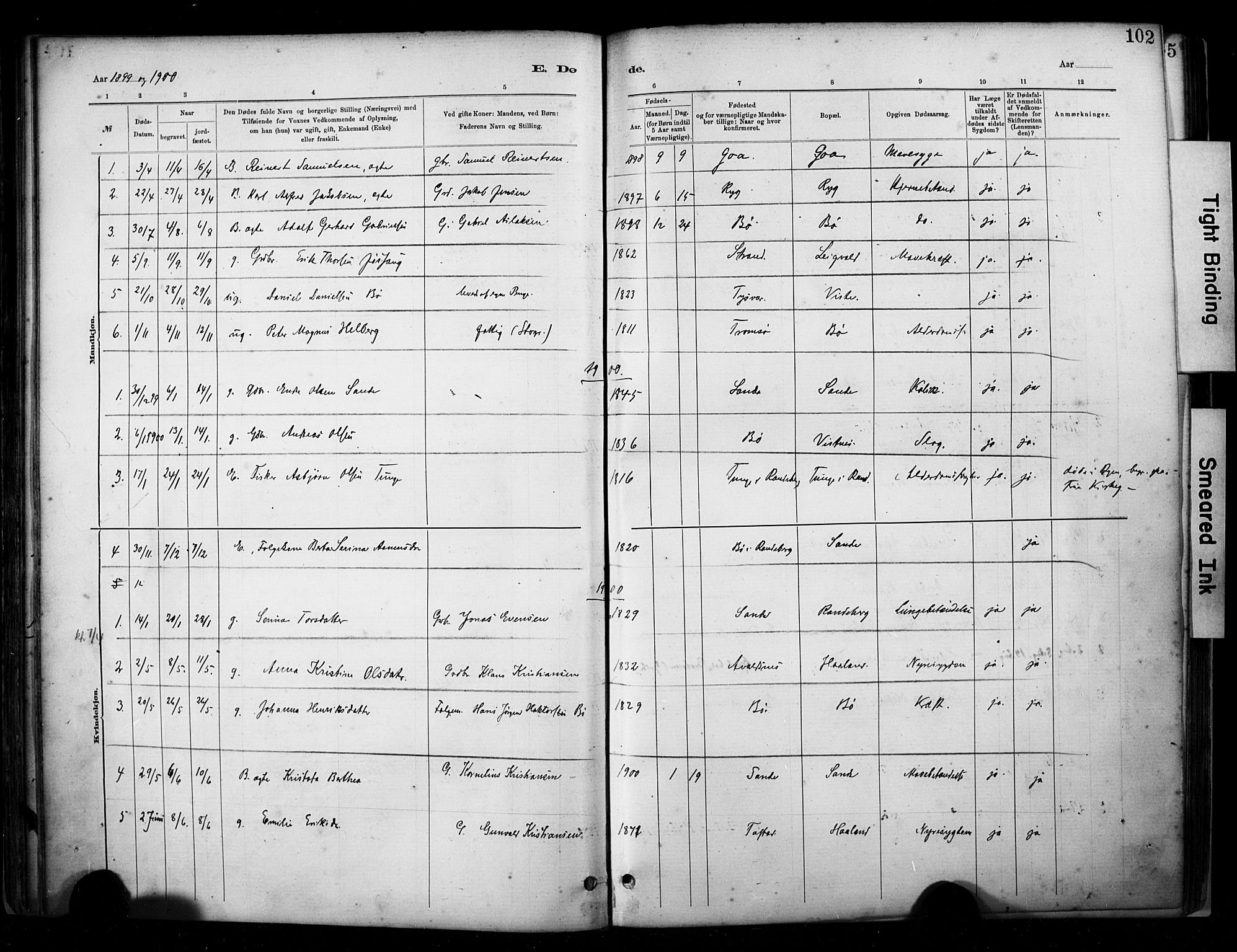 Hetland sokneprestkontor, SAST/A-101826/30/30BA/L0009: Parish register (official) no. A 9, 1882-1918, p. 102