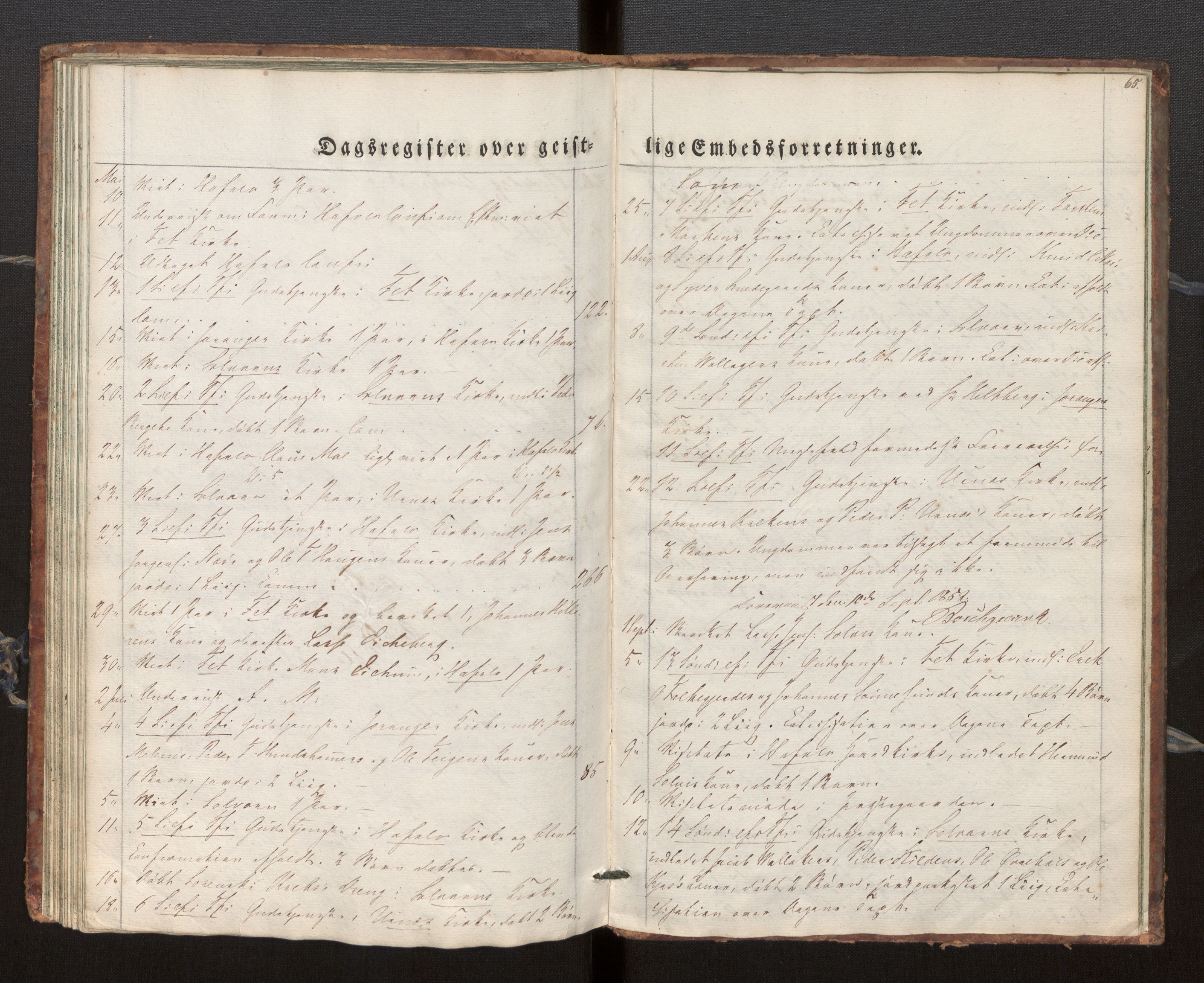 Hafslo sokneprestembete, SAB/A-80301/H/Haa/Haaf/L0001: Diary records no. F 1, 1834-1854, p. 65