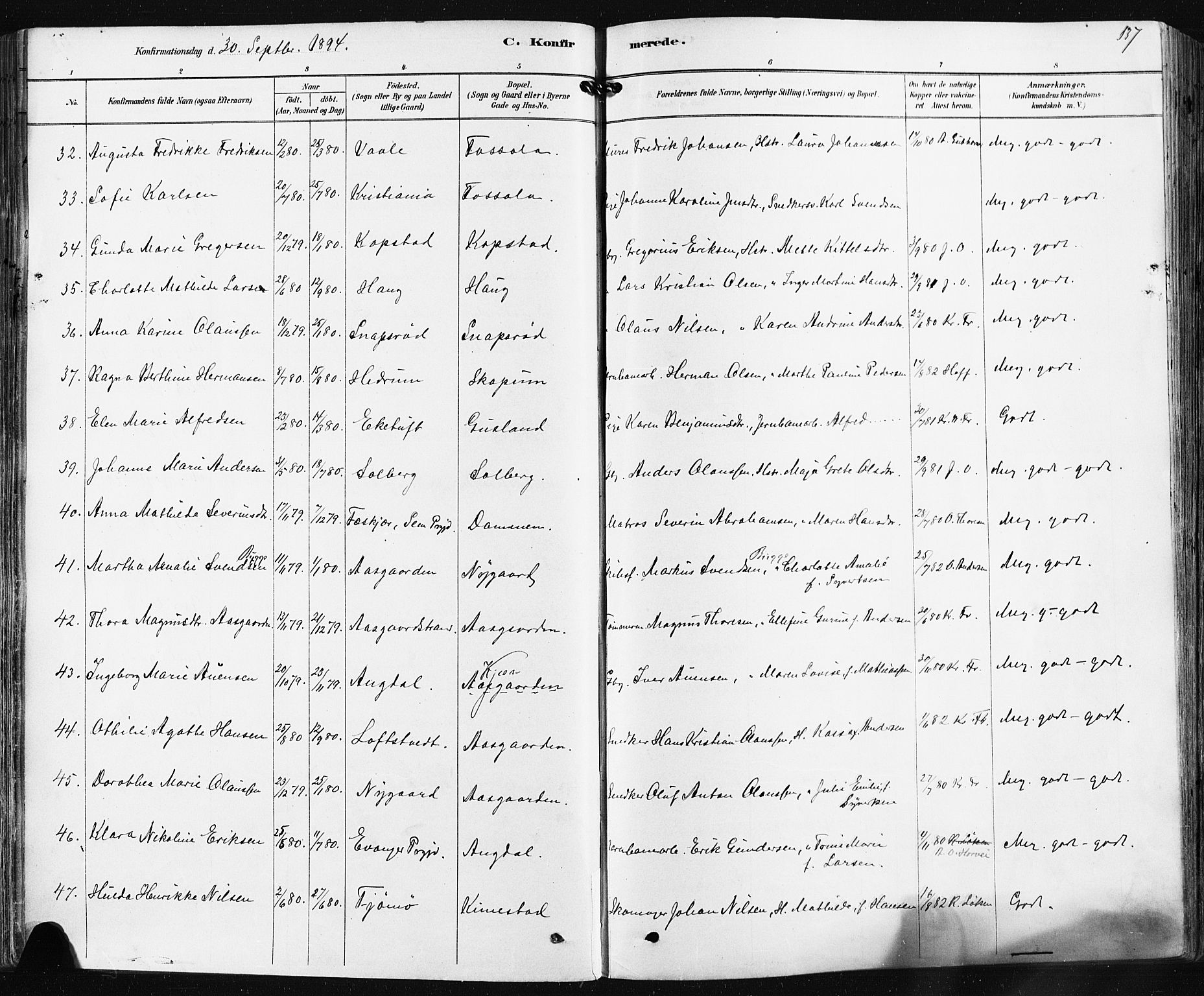 Borre kirkebøker, AV/SAKO-A-338/F/Fa/L0009: Parish register (official) no. I 9, 1878-1896, p. 137