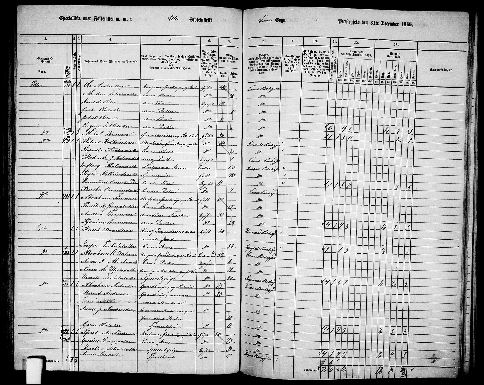 RA, 1865 census for Vanse/Vanse og Farsund, 1865, p. 172