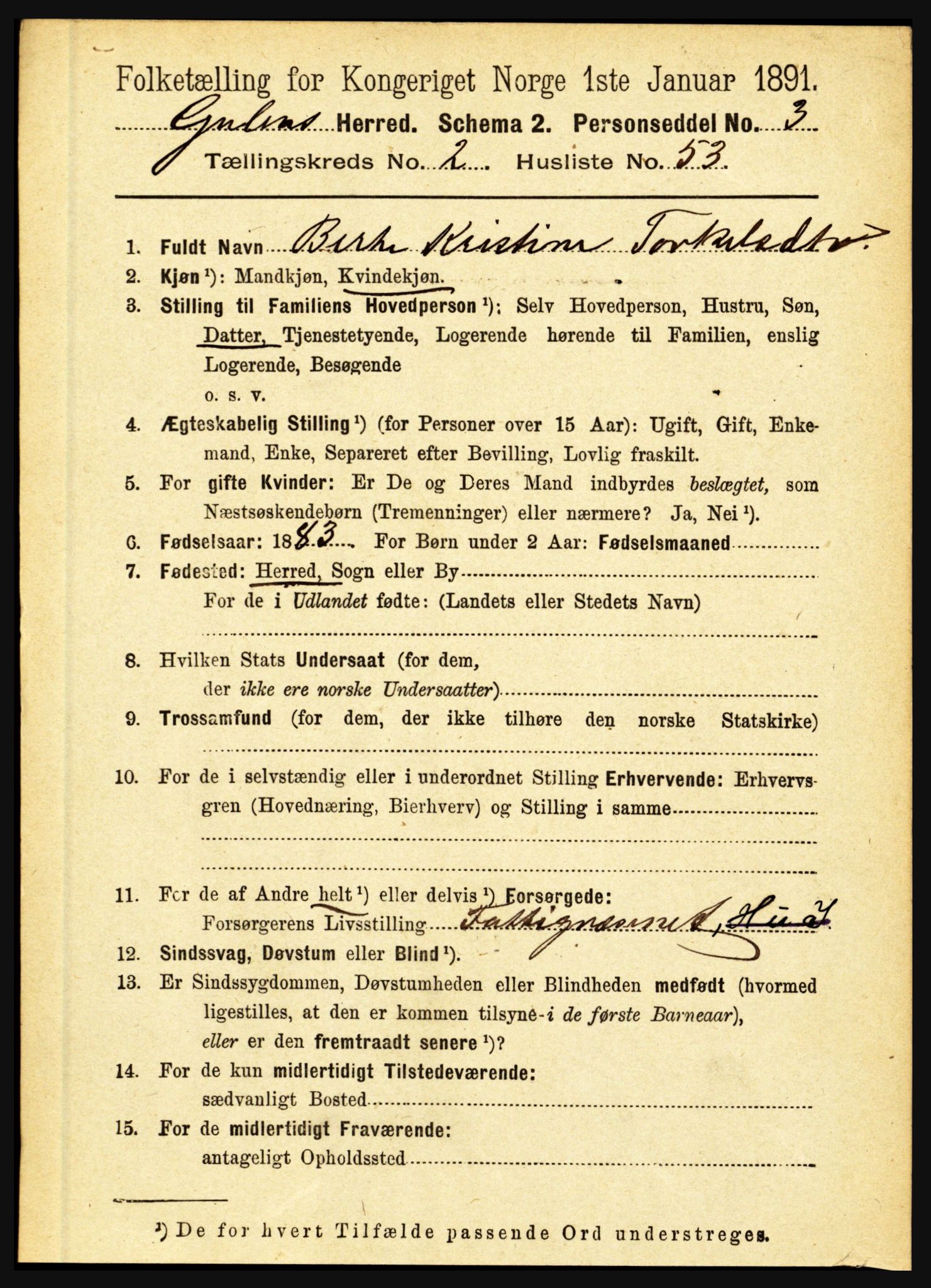 RA, 1891 census for 1411 Gulen, 1891, p. 845